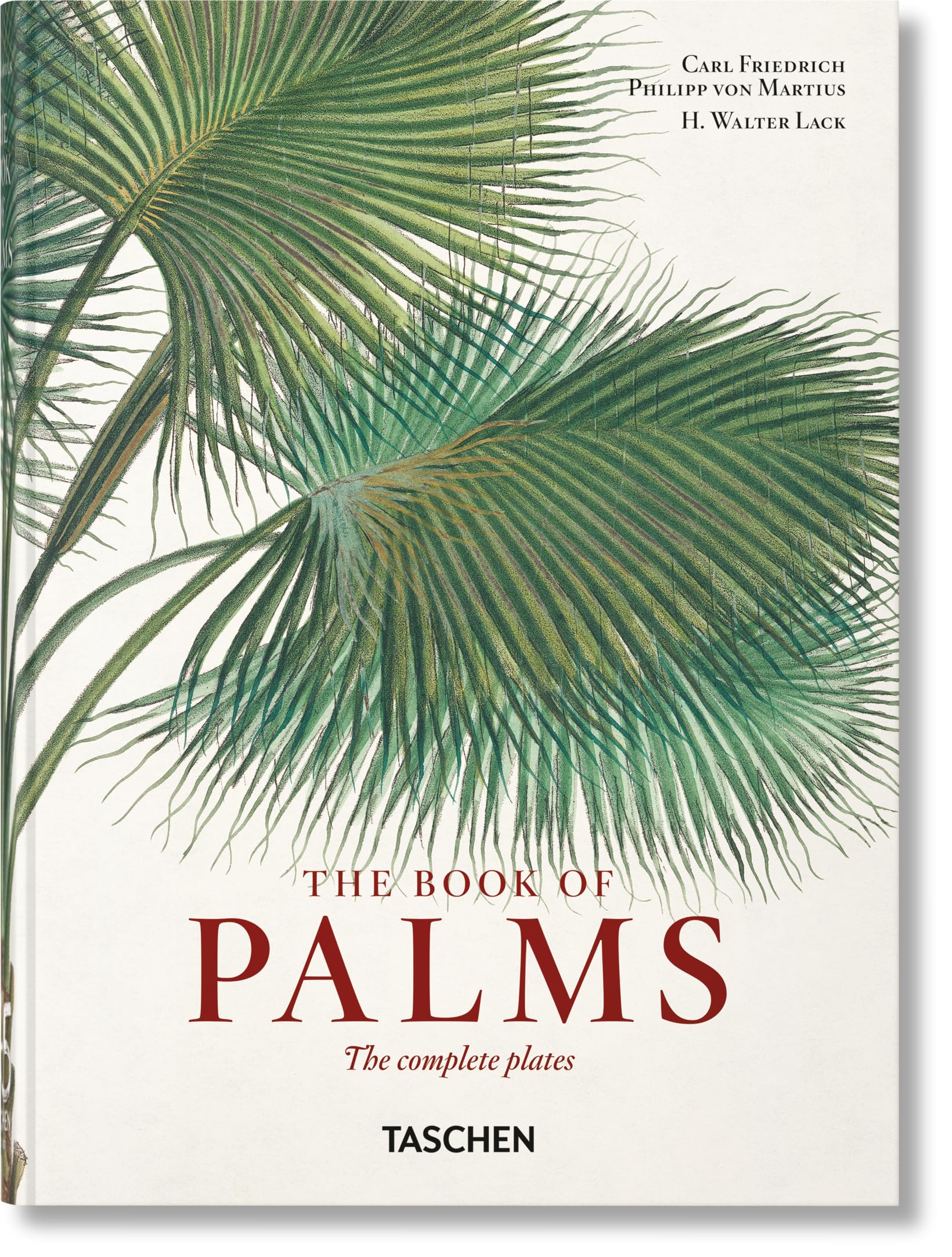 Martius: El libro de las palmeras. 45th Ed. (45th Edition)