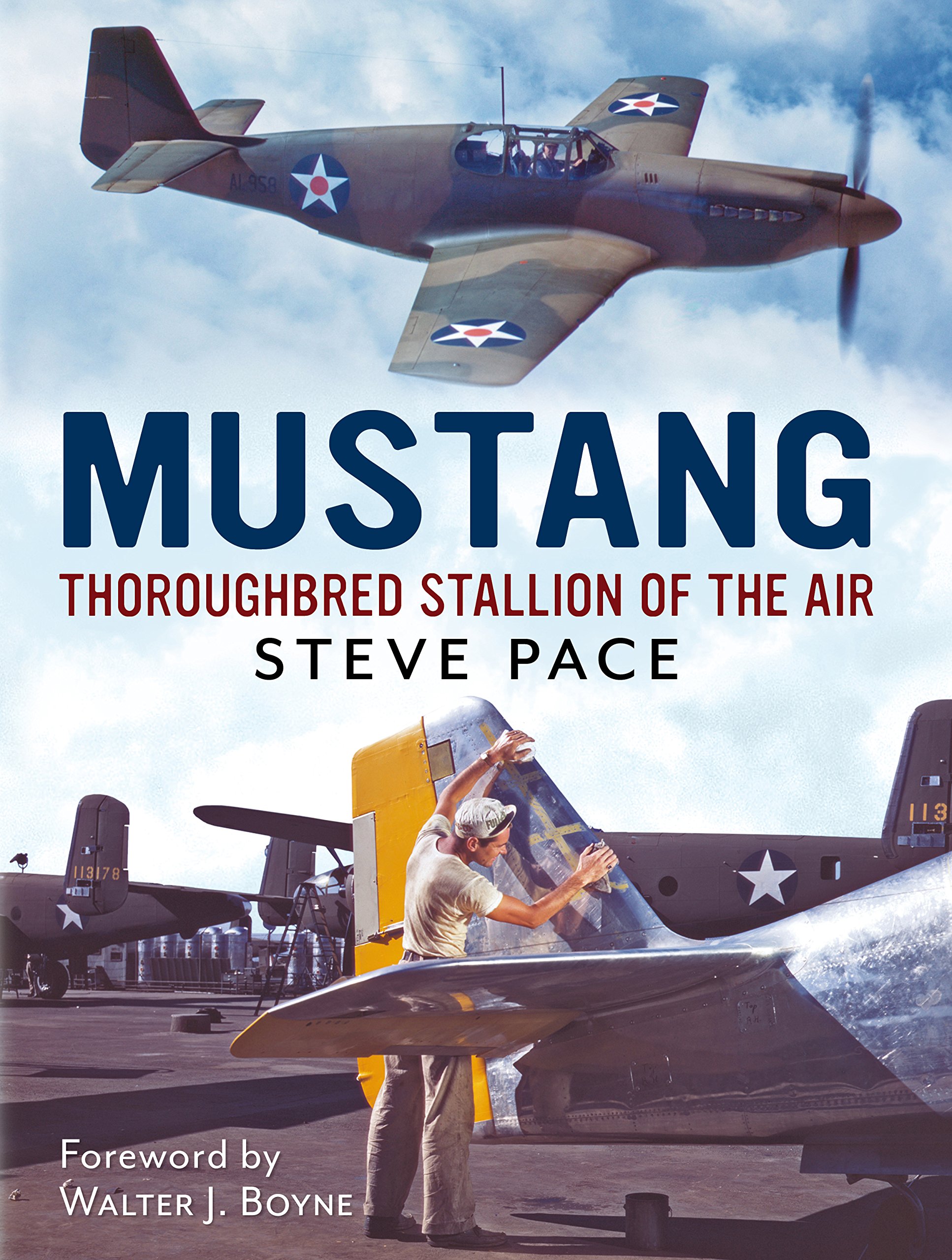 Buy Mustang: Thoroughbred Stallion of the Air — BookShops.in