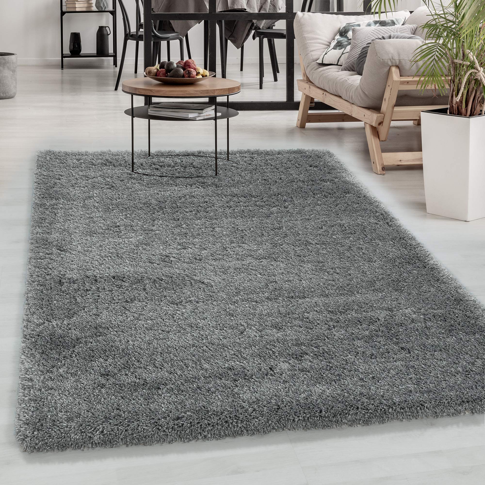 Carpetsale24 Tapis à Poils Longs, Couleur Gris Clair, Unicolor - Monochrome, 107606, Tapis Rectangle, Tapis Salon-Salle à Manger ou Chambre, 120 x 170 cm