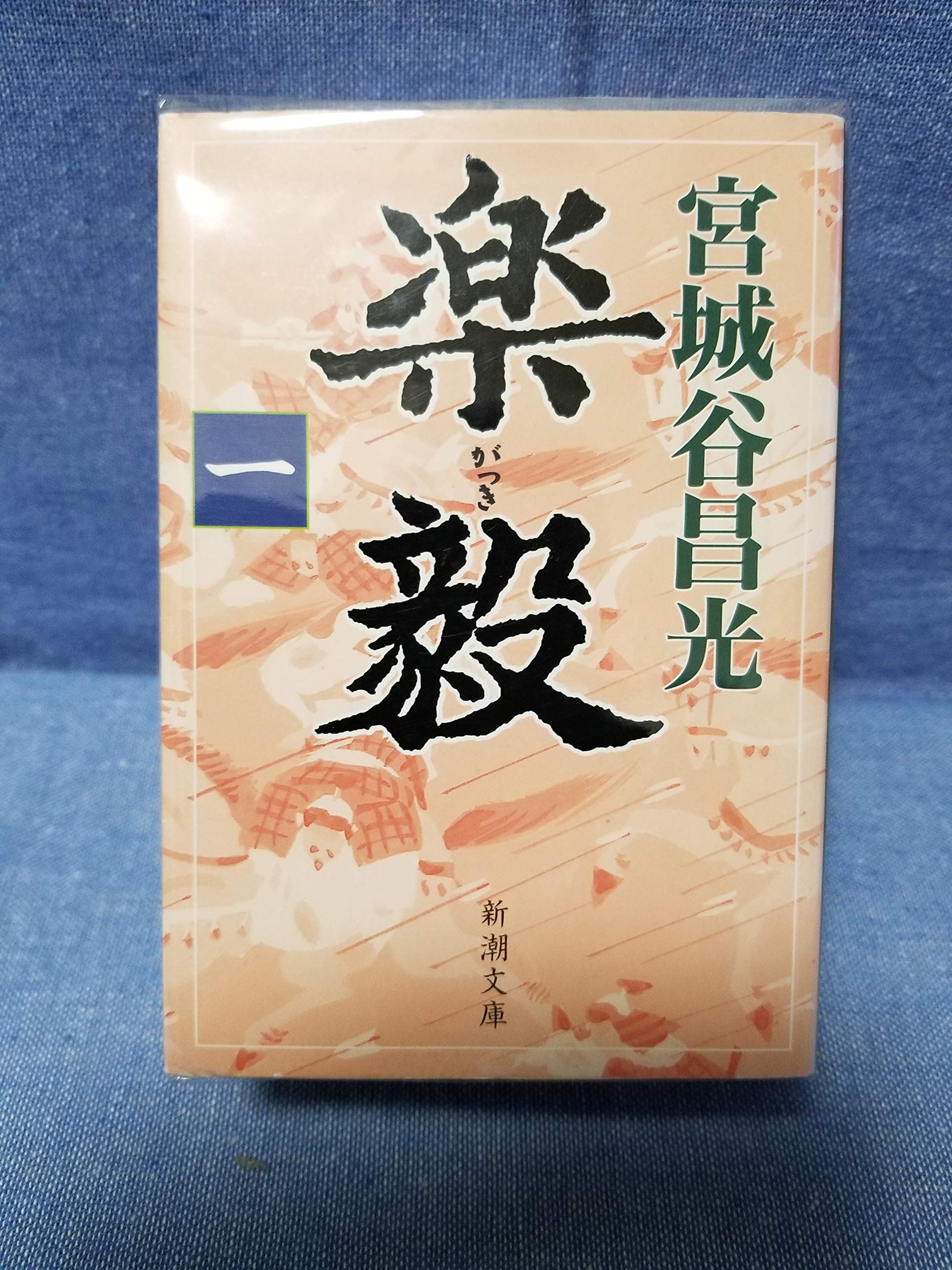 栃木県二宮町史 全4巻セット Amazon.co.jp: 楽毅 全4巻セット : 本