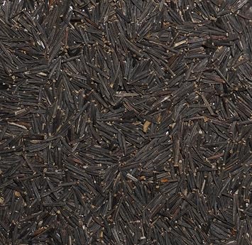 European Arnica (Arnica Montana) - Packet of 20 Seeds