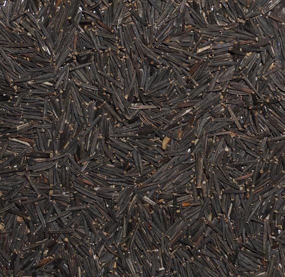 European Arnica (Arnica Montana) - Packet of 20 Seeds