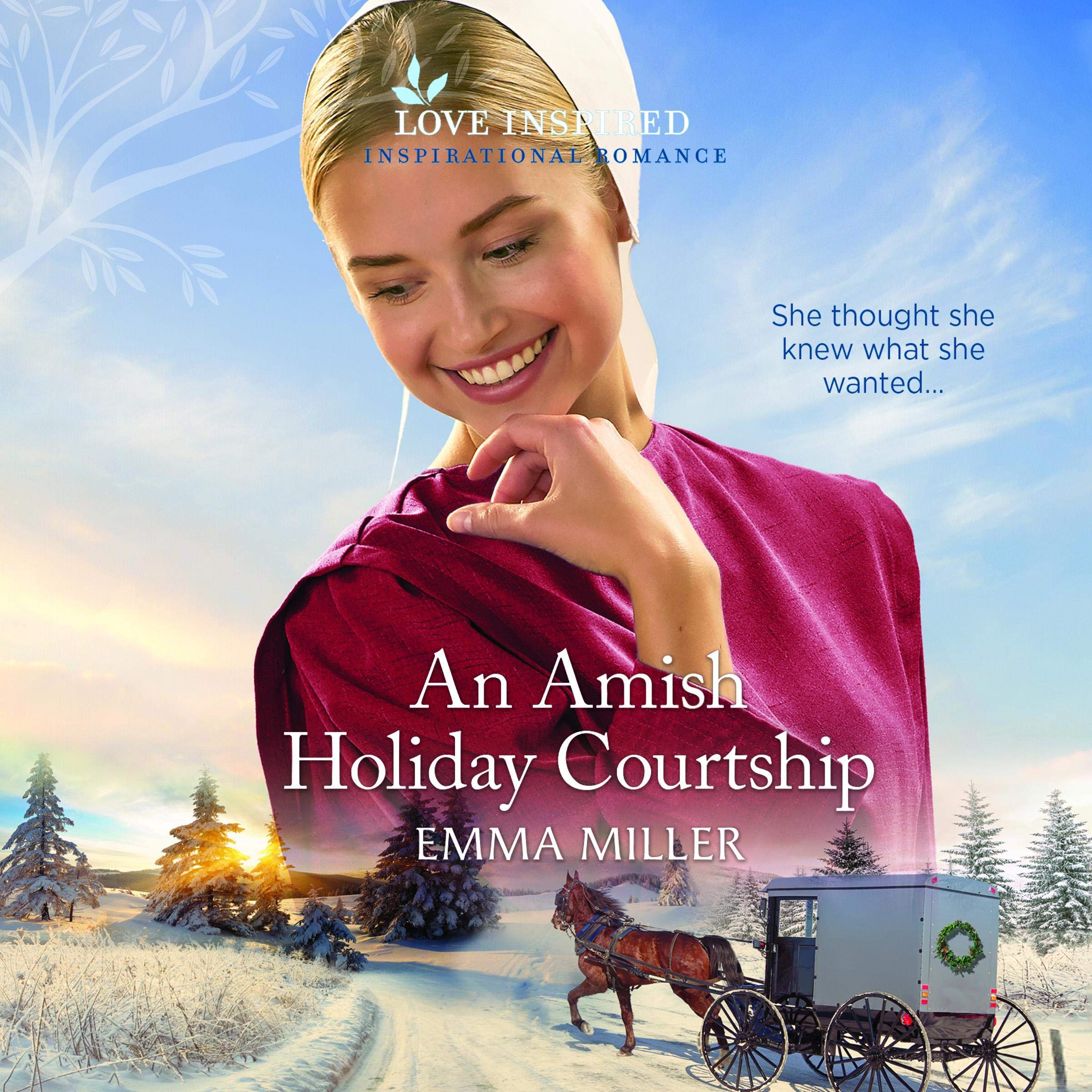 An Amish Holiday Courtship