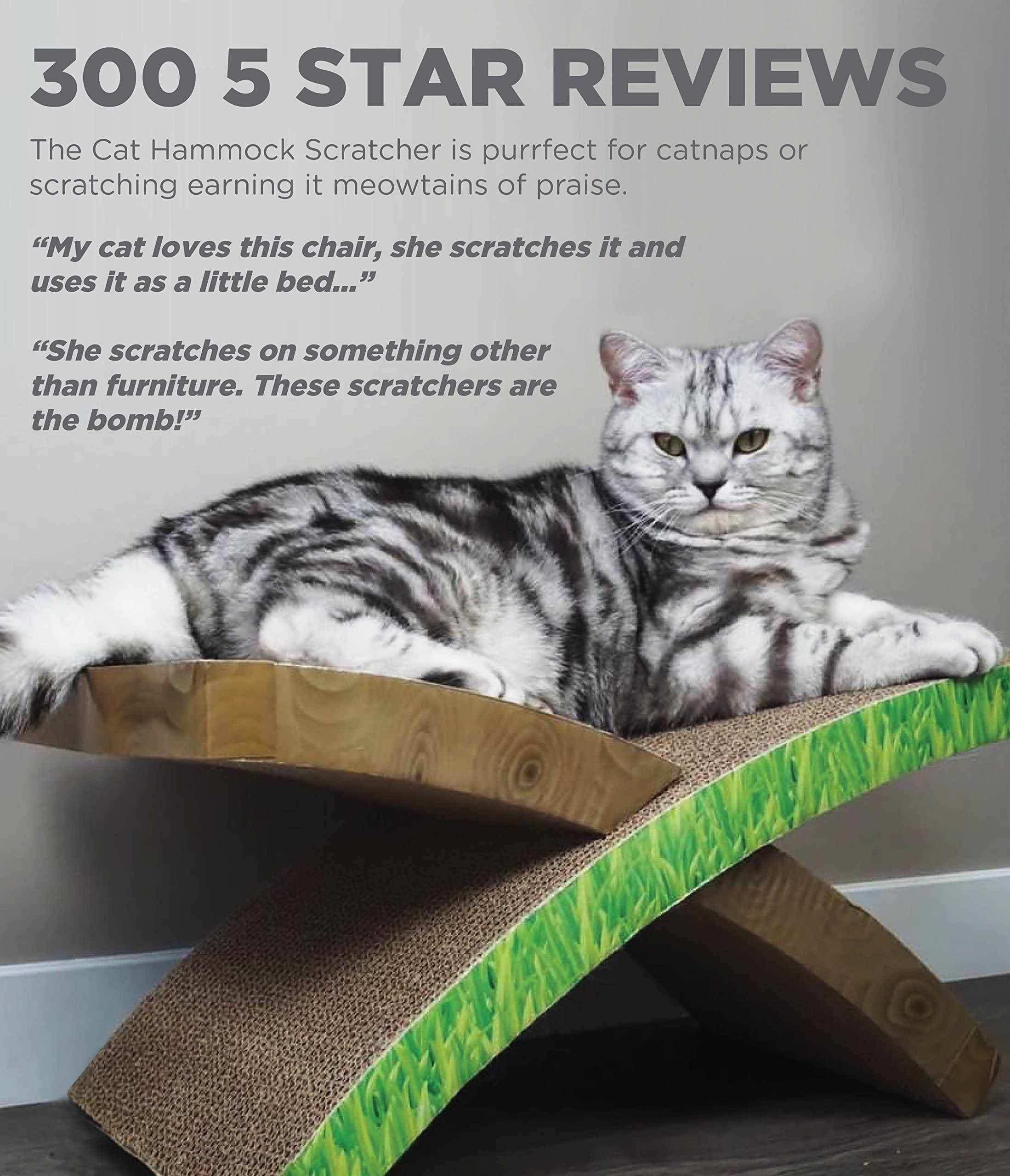 cat scratcher with hammock