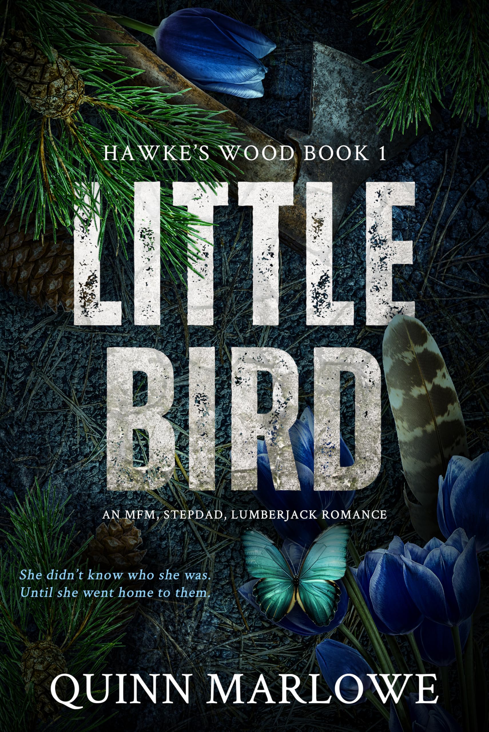 Little Bird (Hawke's Wood Book 1)