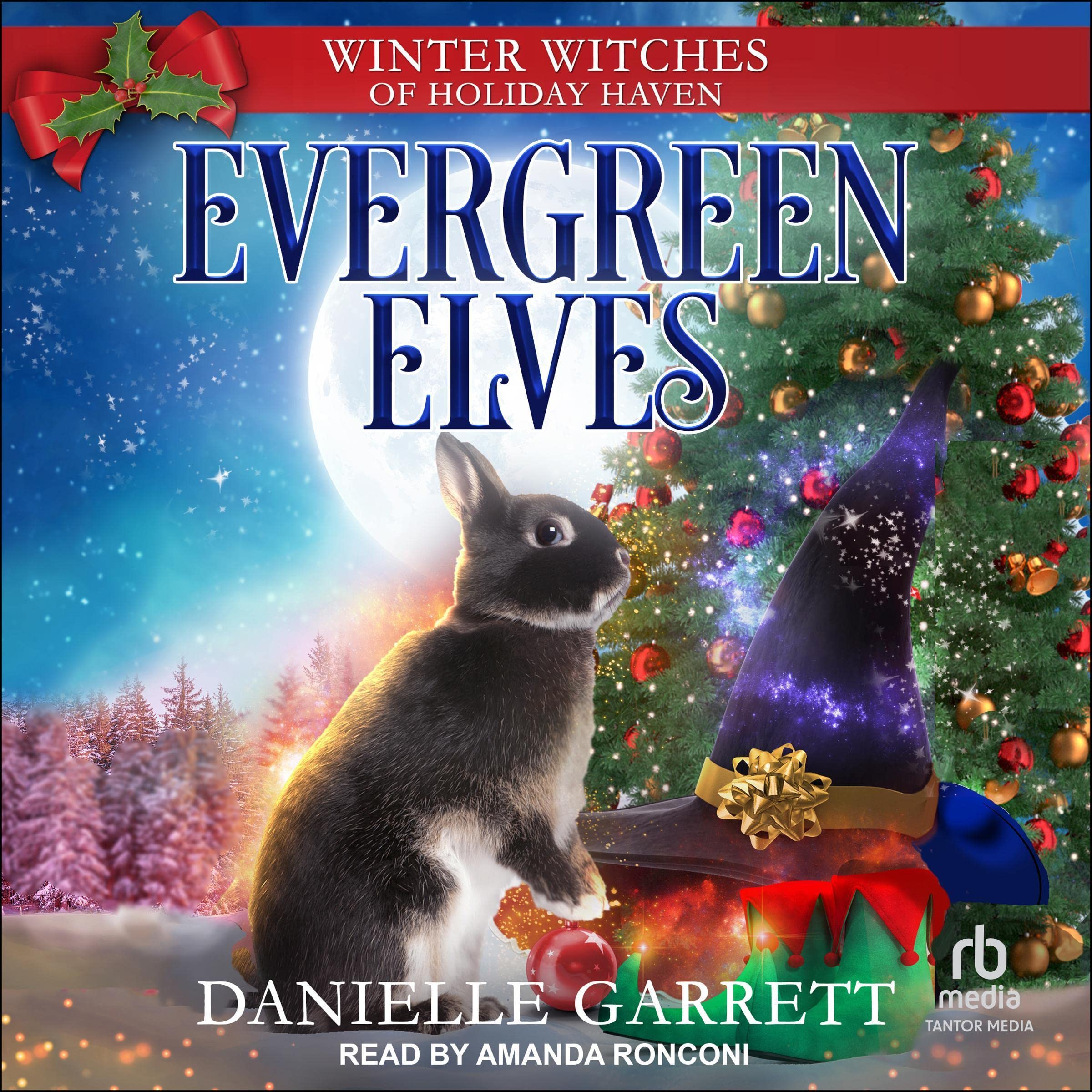 Cover art for Evergreen Elves
