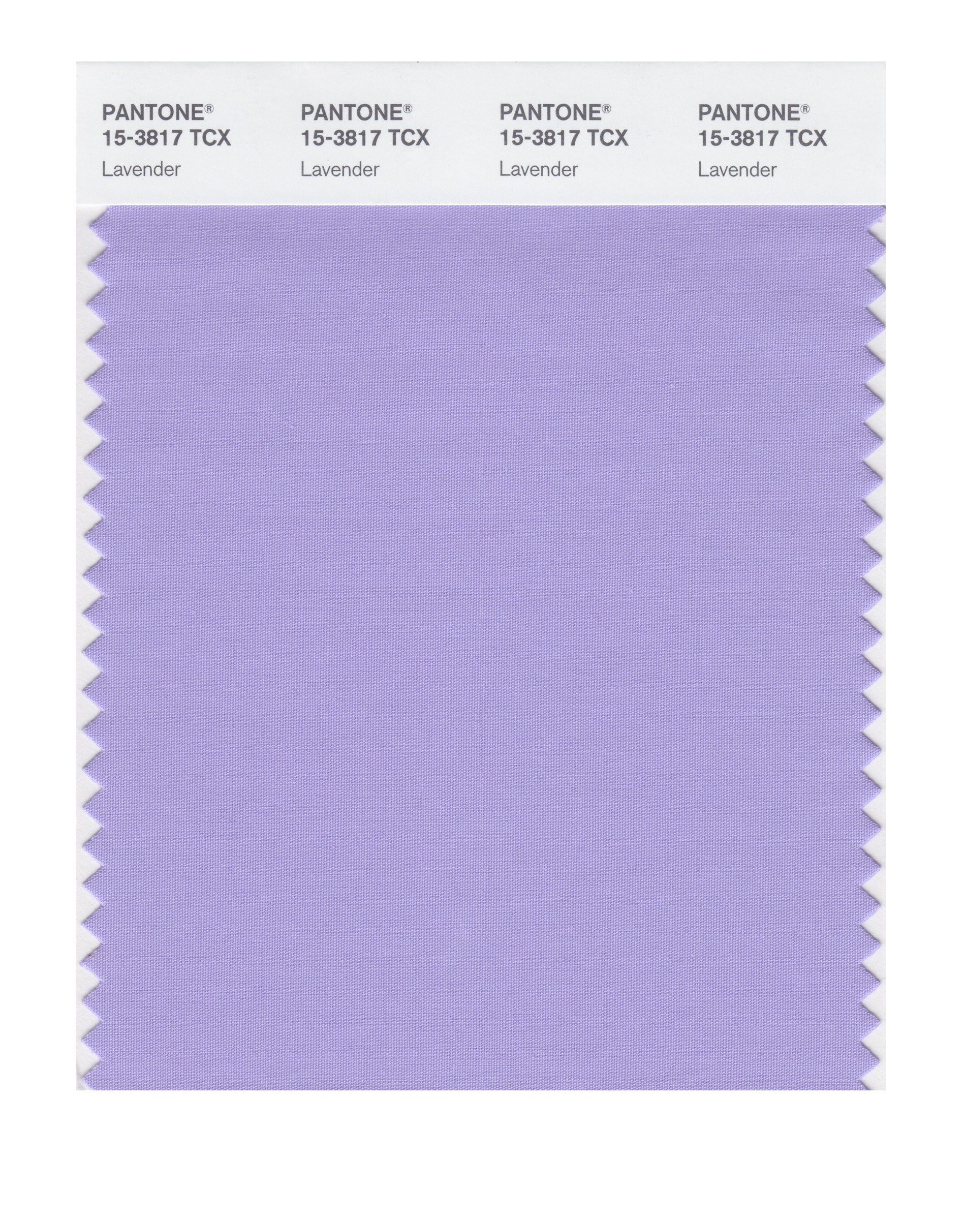 PANTONE SMART 15-3817X Color Swatch Card, Lavender - House Paint