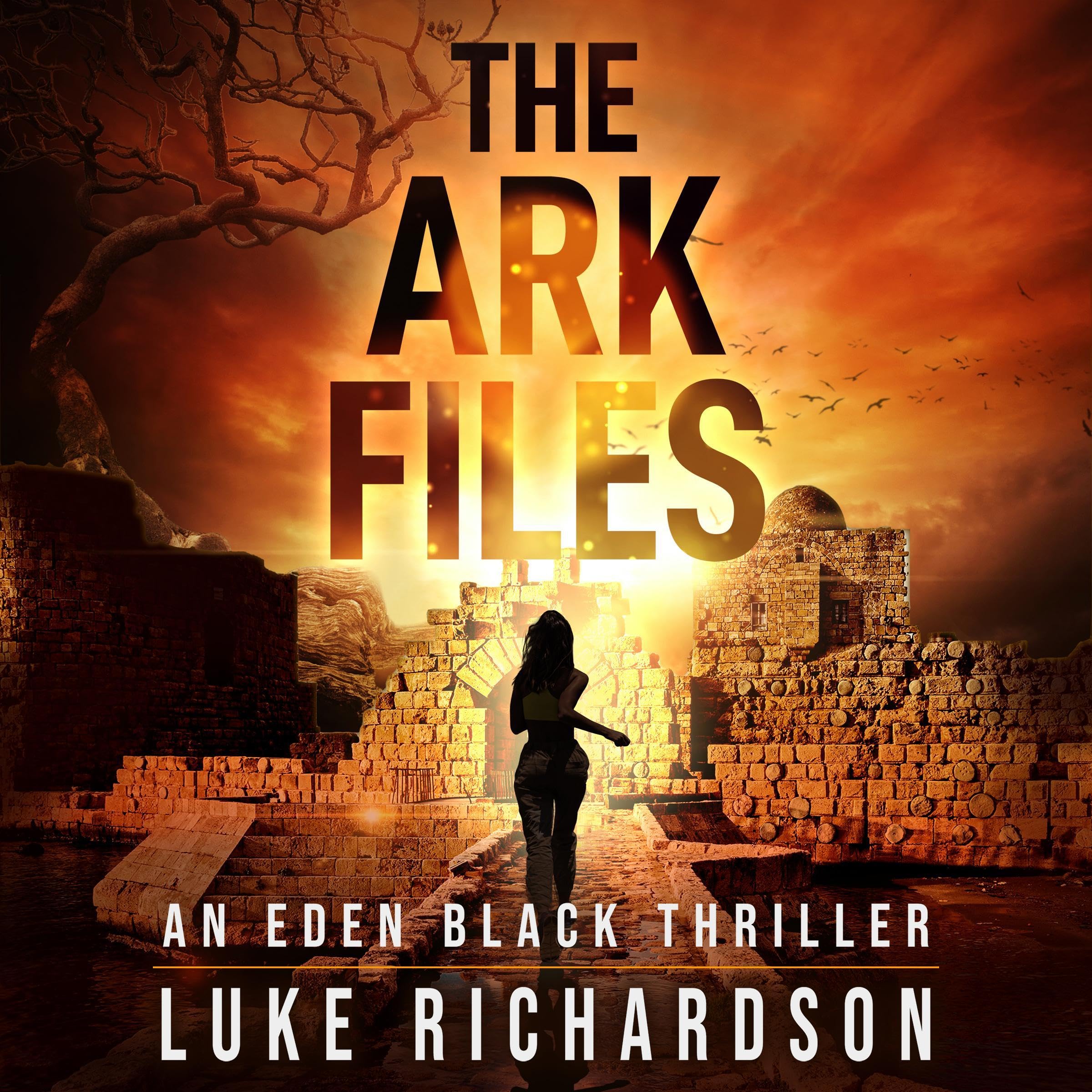 The Ark Files