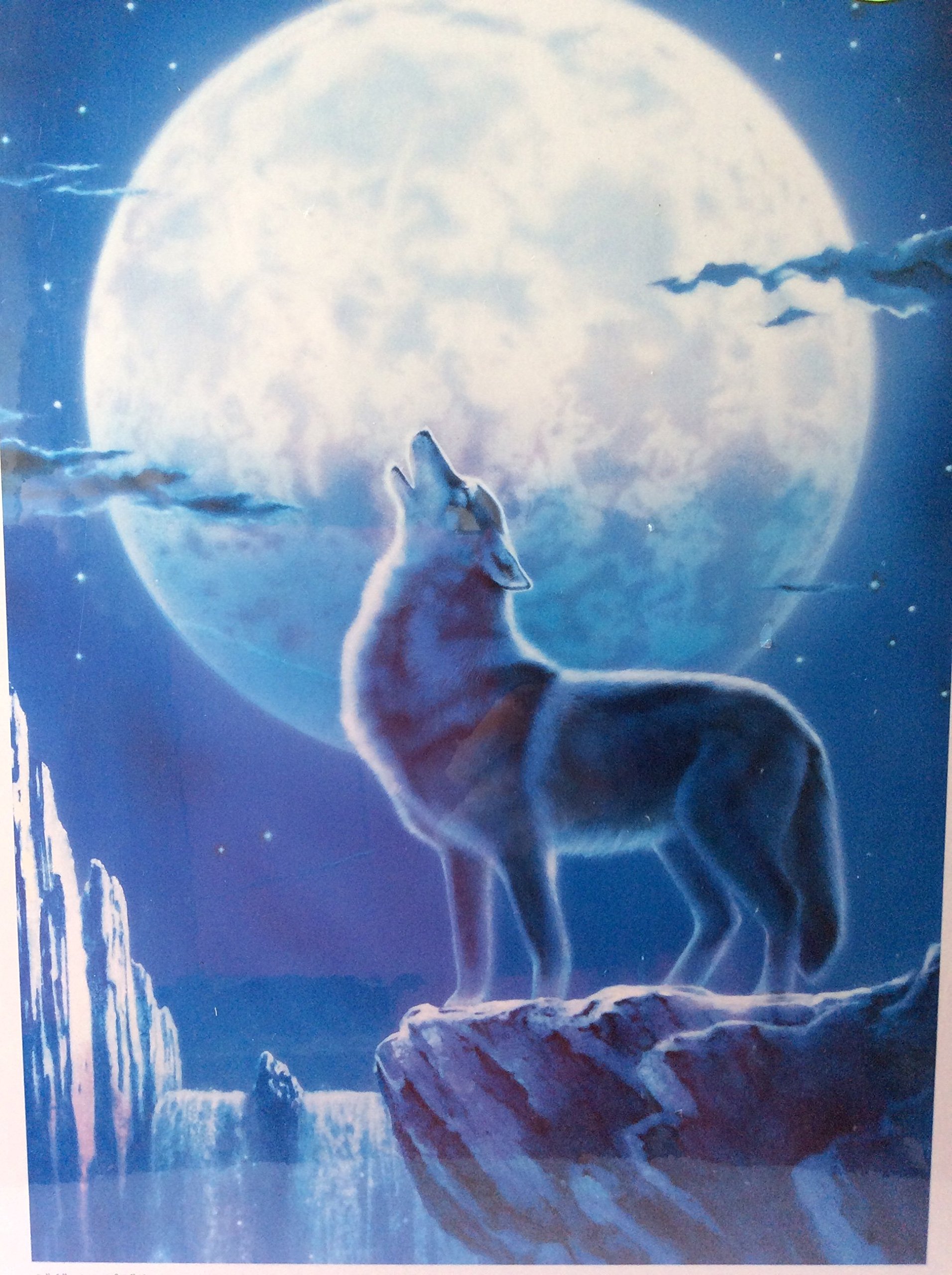Amazon.co.jp: 1000ピース ムーンライト ウルフ (50x75cm