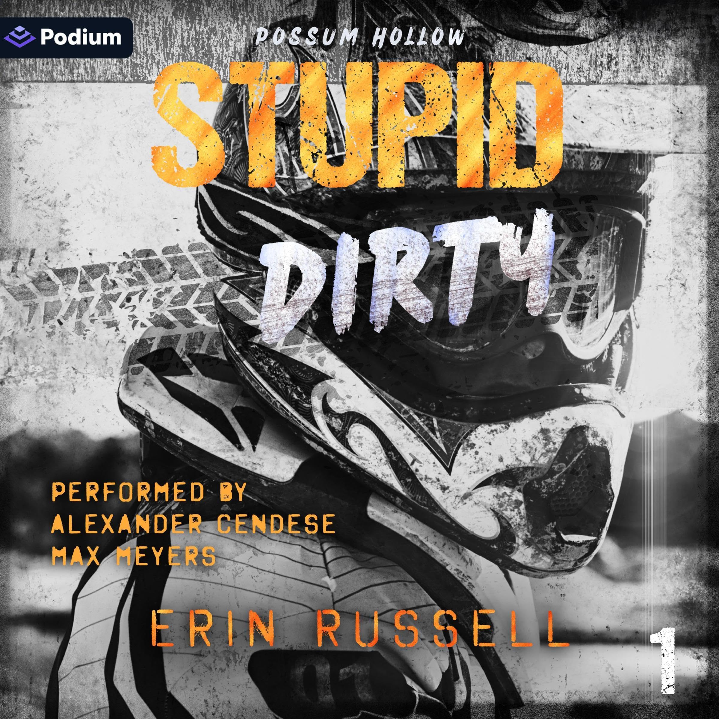 Cover art for Stupid Dirty