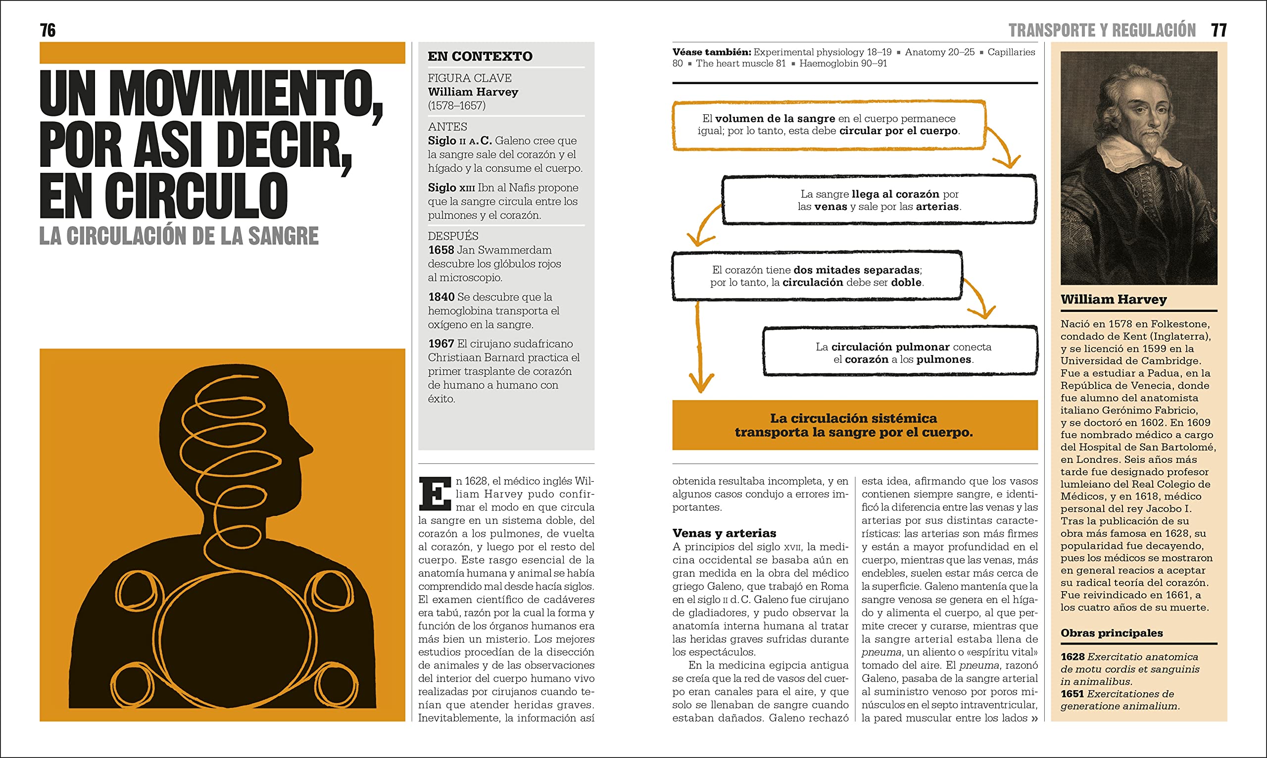 El libro de la biologia (The Biology Book) (DK Big Ideas) (Spanish Edition) - Image 5