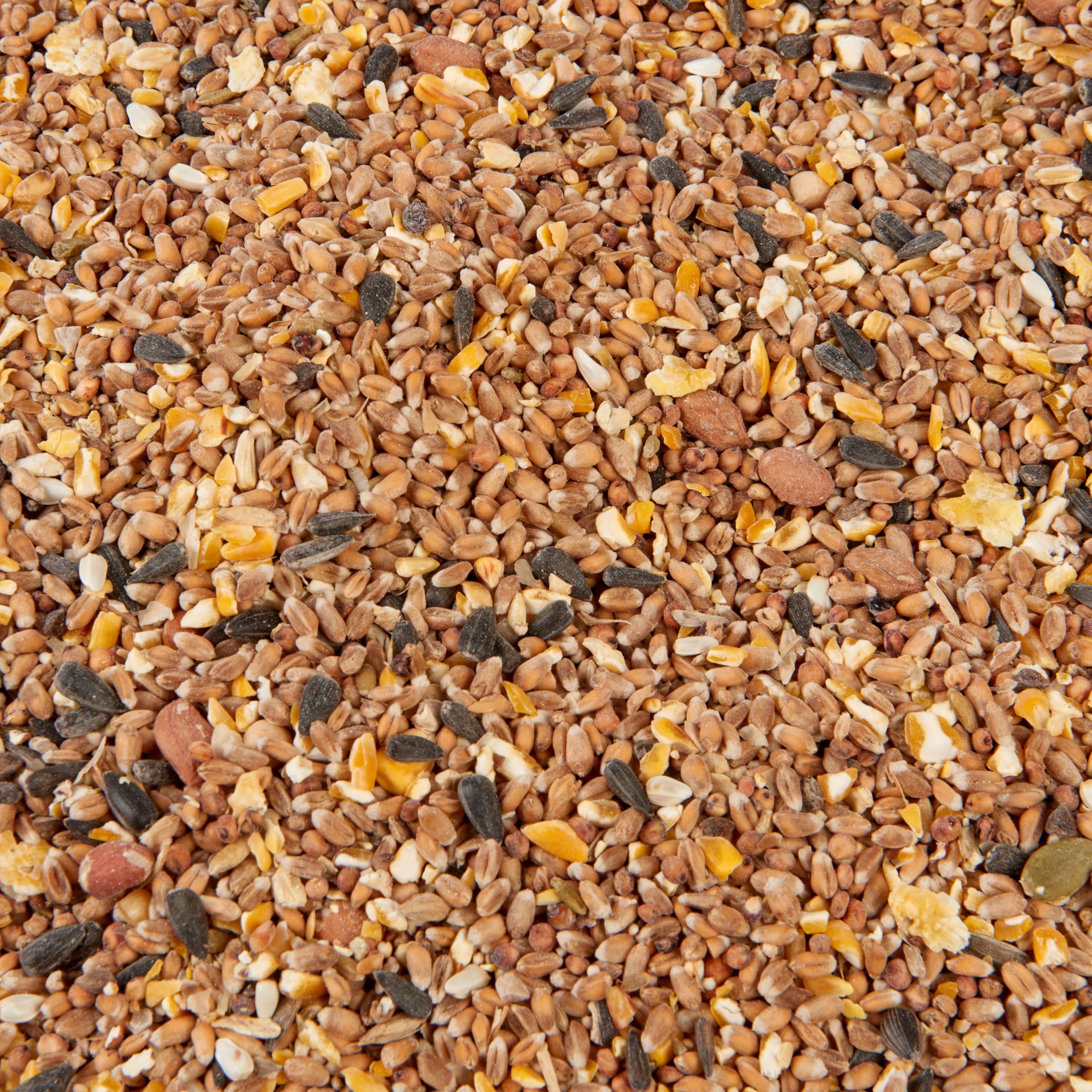 A 1kg bag of Hungry Wings Premium Wild Bird Food, featuring a mix of seeds, nuts, and dried insects.