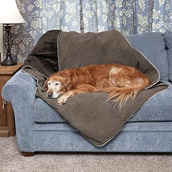 unrippable dog blanket