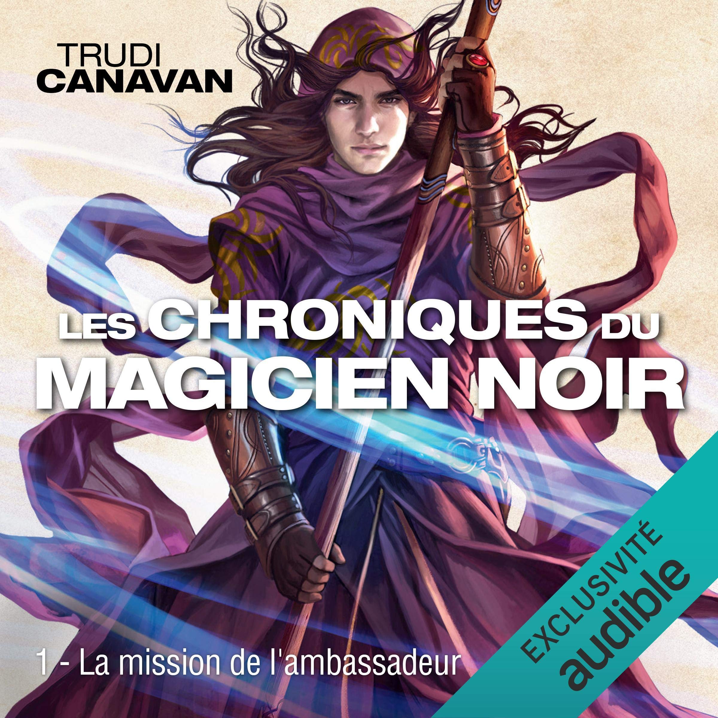 Cover art for La mission de l'ambassadeur