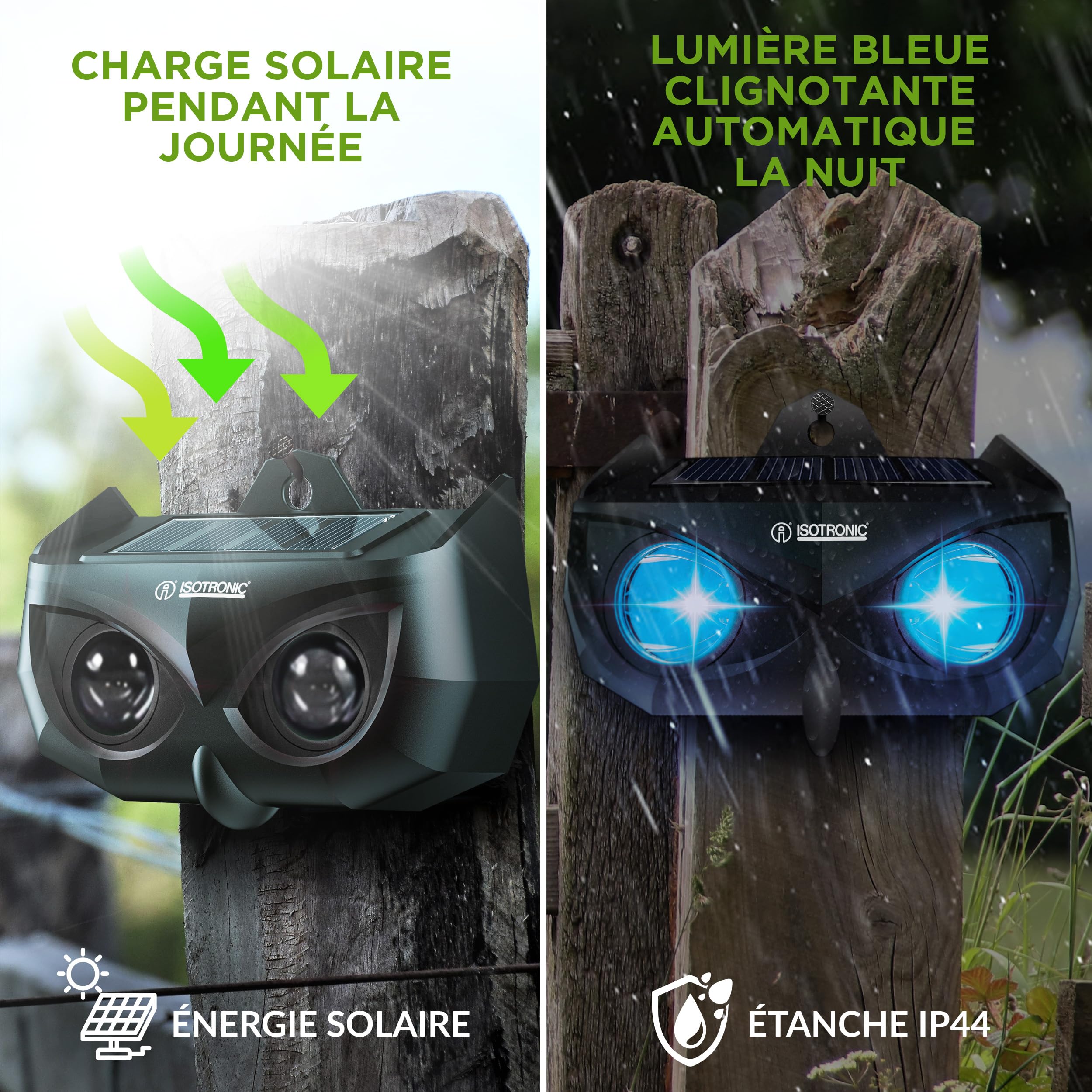 ISOTRONIC Répulsif Solaire ratons laveurs, Cerfs, Renards et sangliers – Protection Animaux Sauvages avec LED Bleue – Dissuasion Efficace portée 40 m² – Lot de 4 pièces pour Jardin et extérieur
