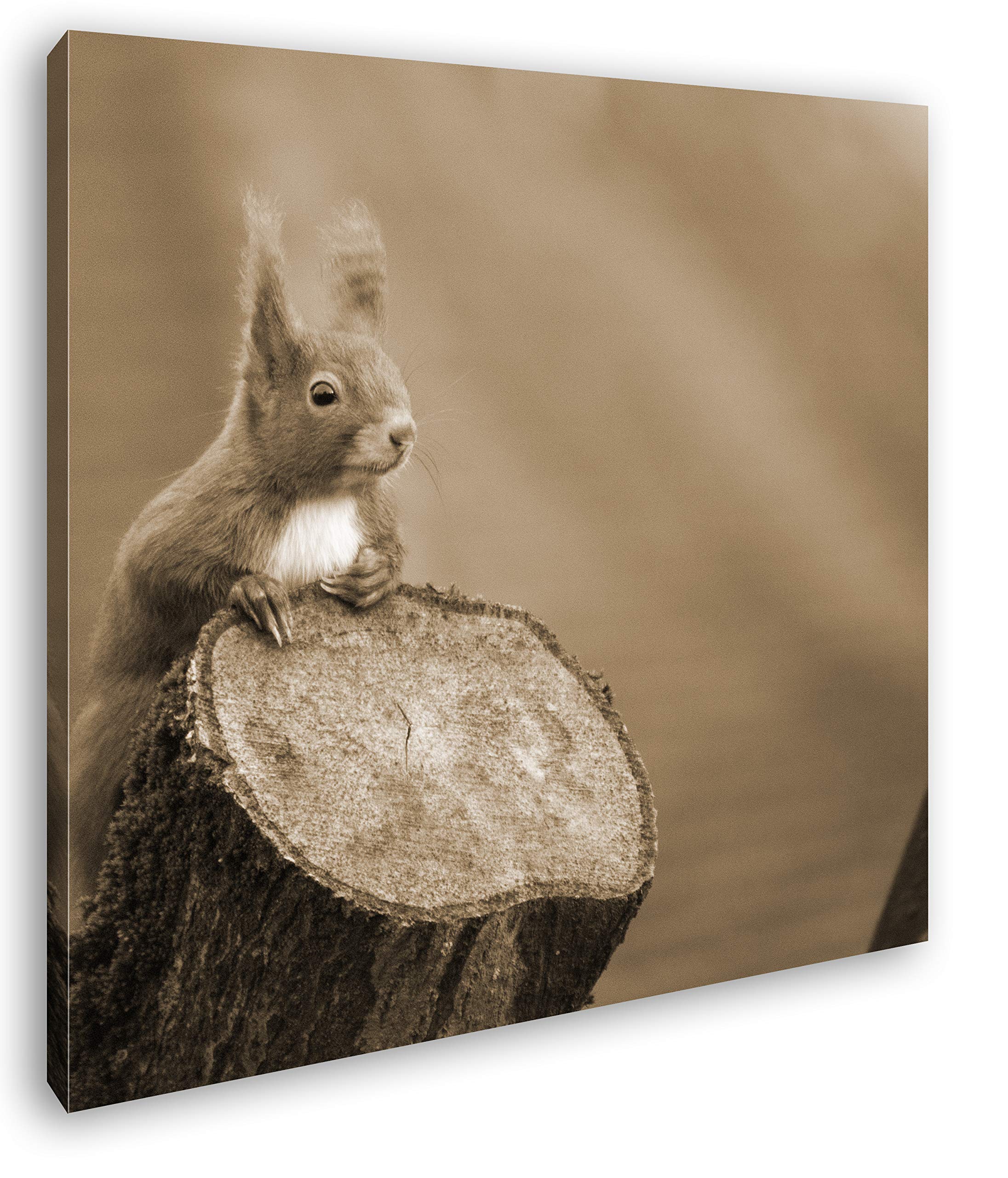 Joli Effet écureuil : Sepia comme Toile montée sur châssis en Bois véritable, Décoration Murale, Impression numérique avec Cadre, Pas de Poster ou de Affiches, 70x70