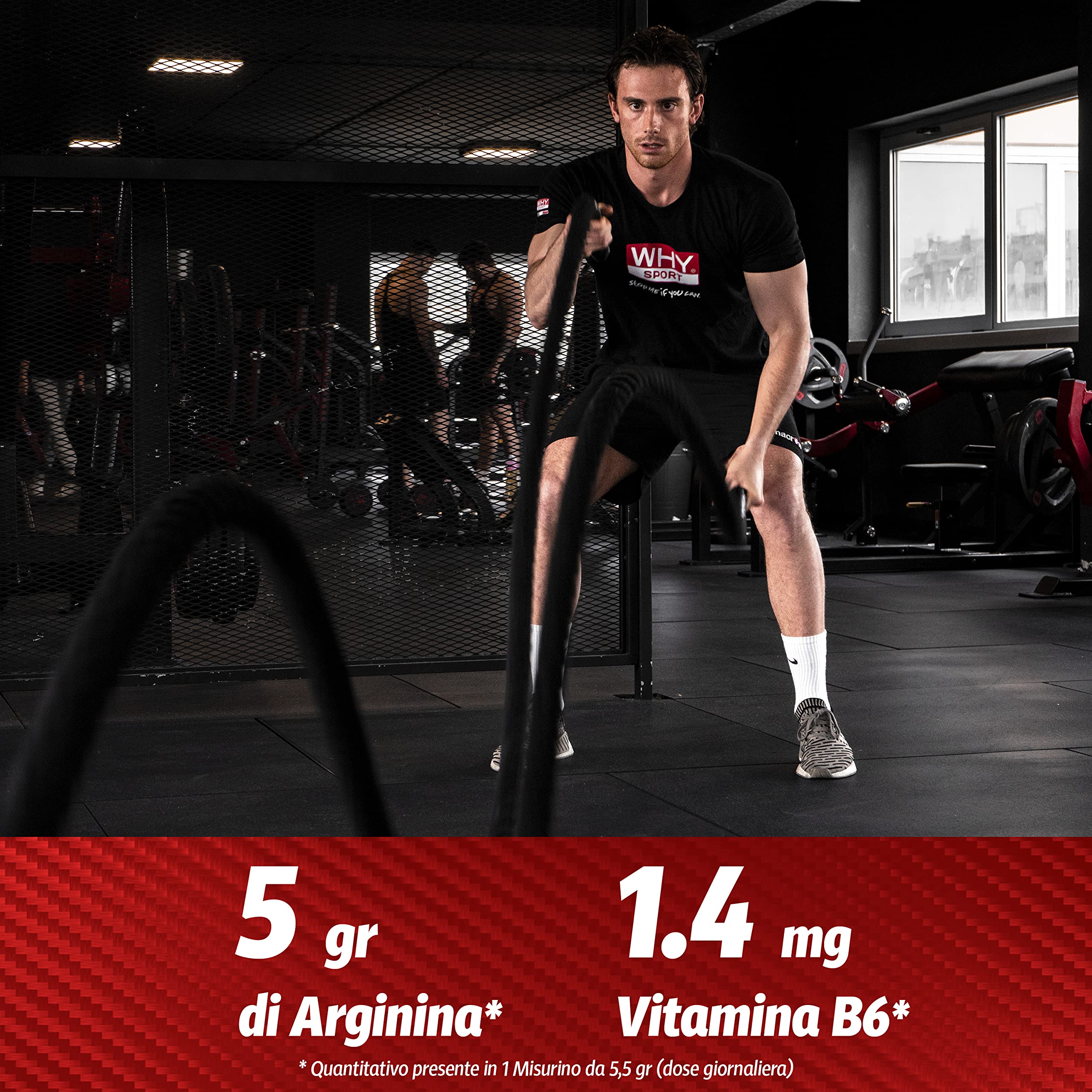 WHY SPORT ARGININA ZERO CARB - Integratore Alimentare a Base di Arginina – Gusto Frutti Rossi – 220 gr