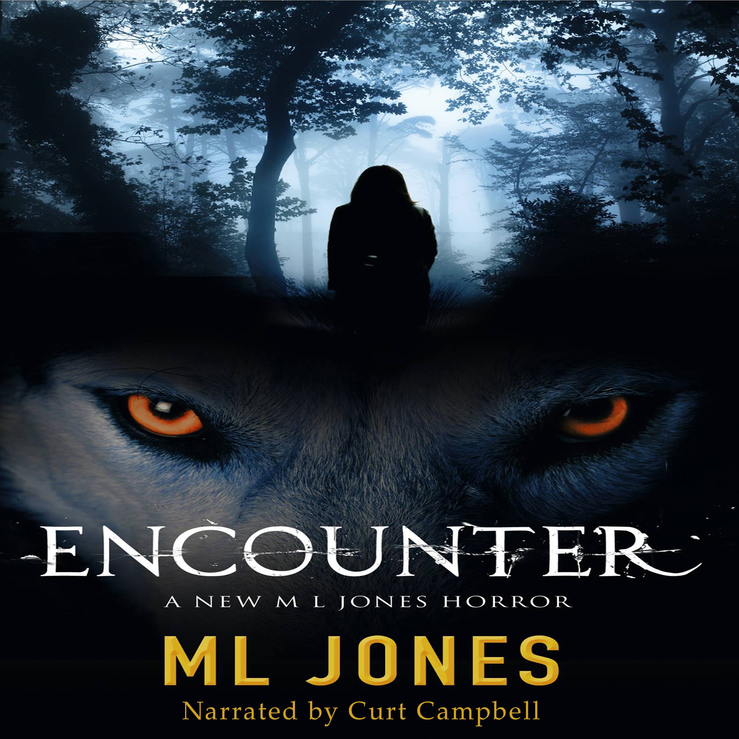 Encounter
