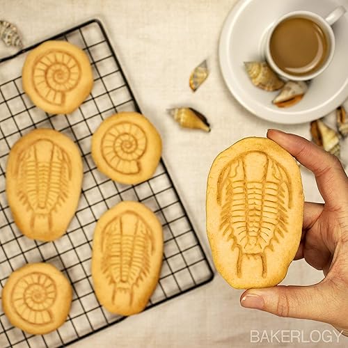 Miniatura 3 de Cortador de galletas trilobite, 1 pieza - Bakerlogy