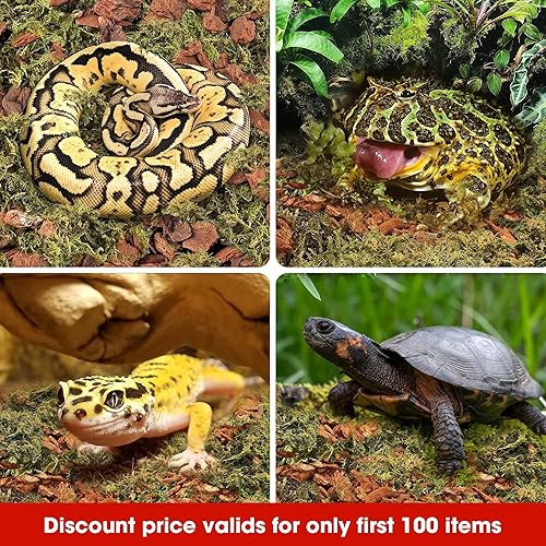 Miniatura 6 de Duspro Reptile Bedding Forest Moss Mix Pine Bark, Sustrato para tanque de reptiles, Ropa de cama de piso para reptiles, Ropa de cama de tortuga