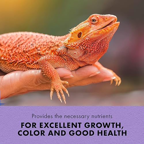 Miniatura 3 de Zilla Barbudo Dragon - Pellets de alimentos extruidos 6.5 onzas