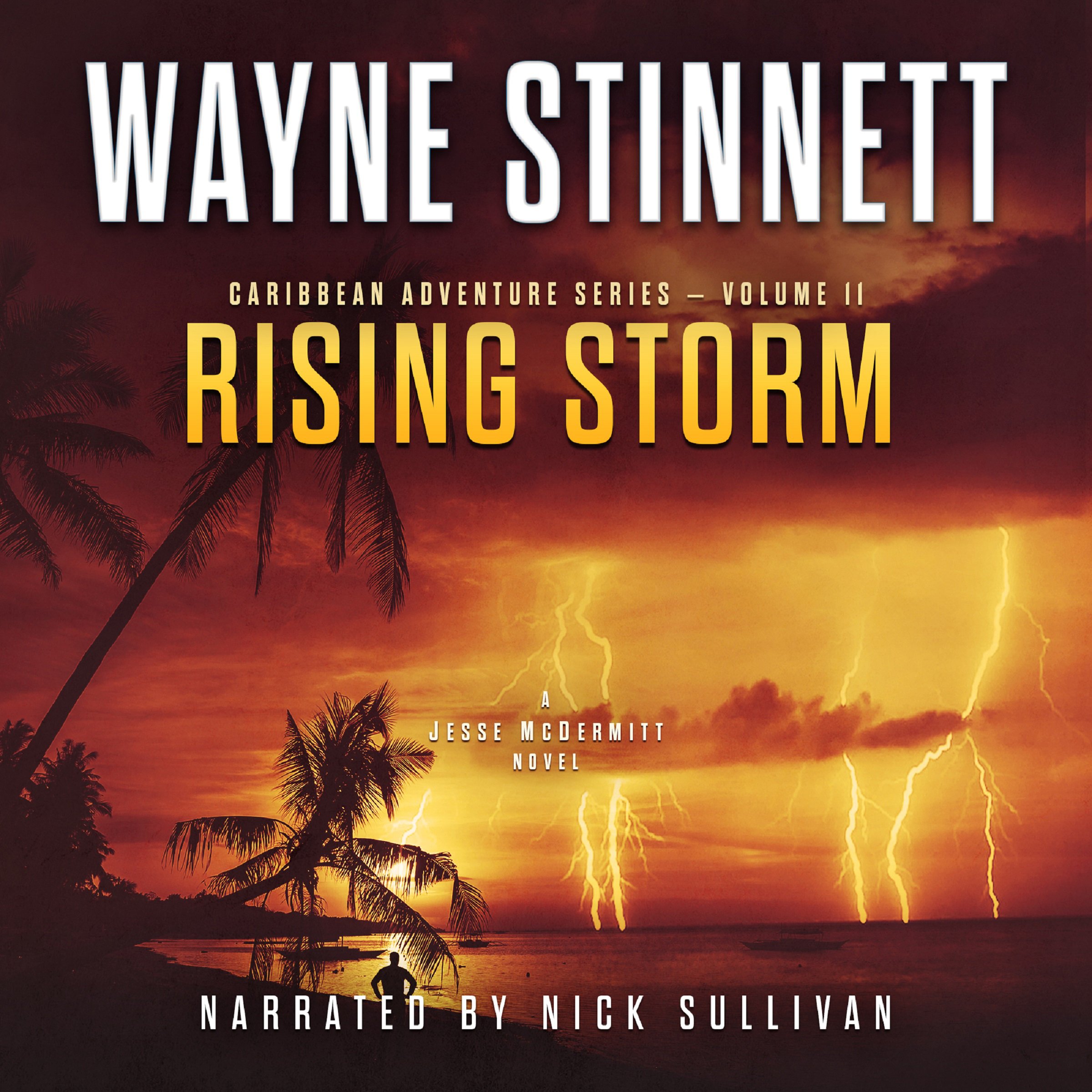 Cover art for Rising Storm: A Jesse McDermitt Novel