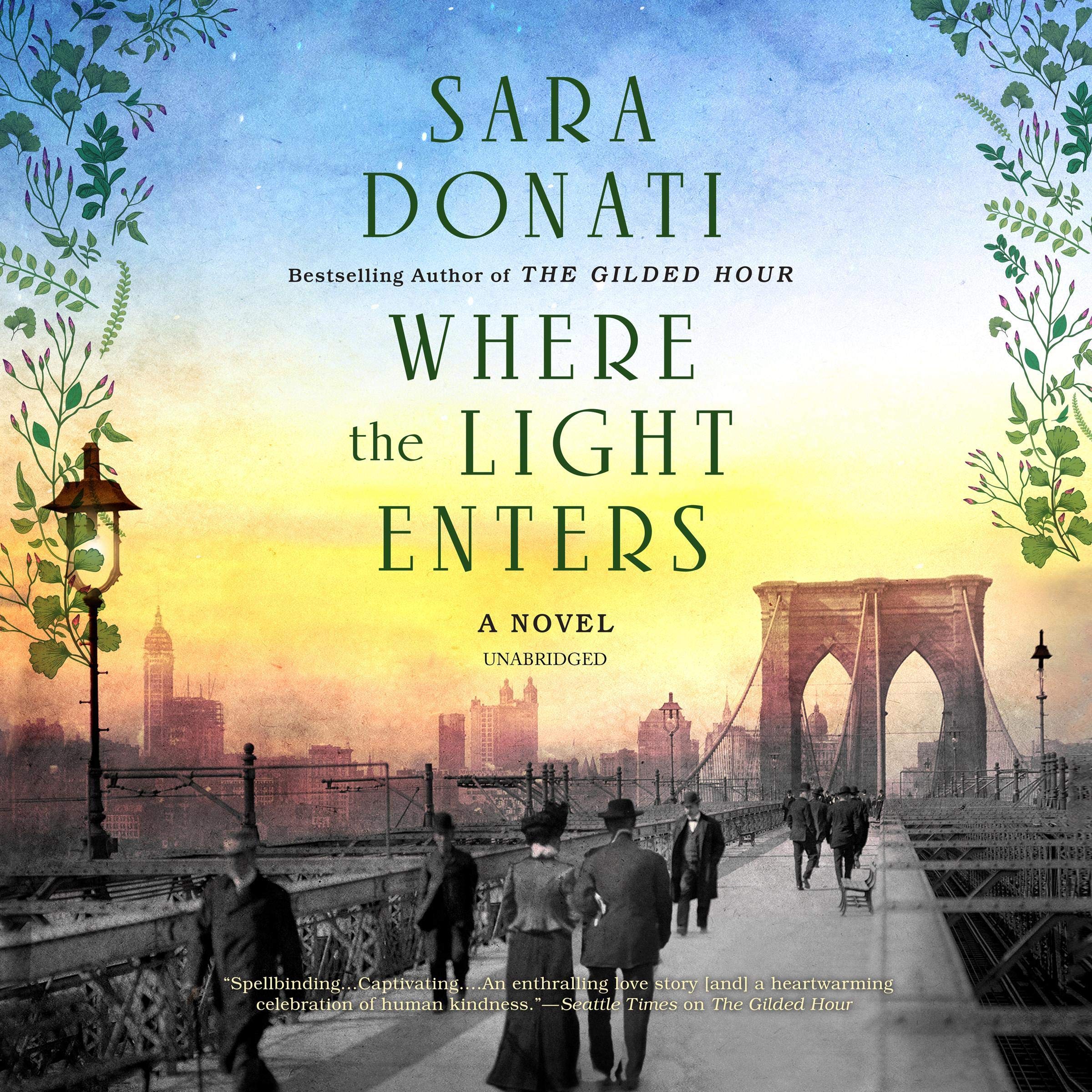 Cover art for Where the Light Enters