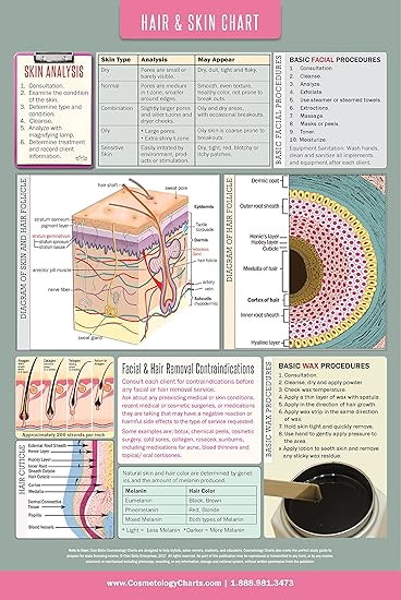 Educational Salon Skin Care Anatomical High Gloss Laminated Poster 18