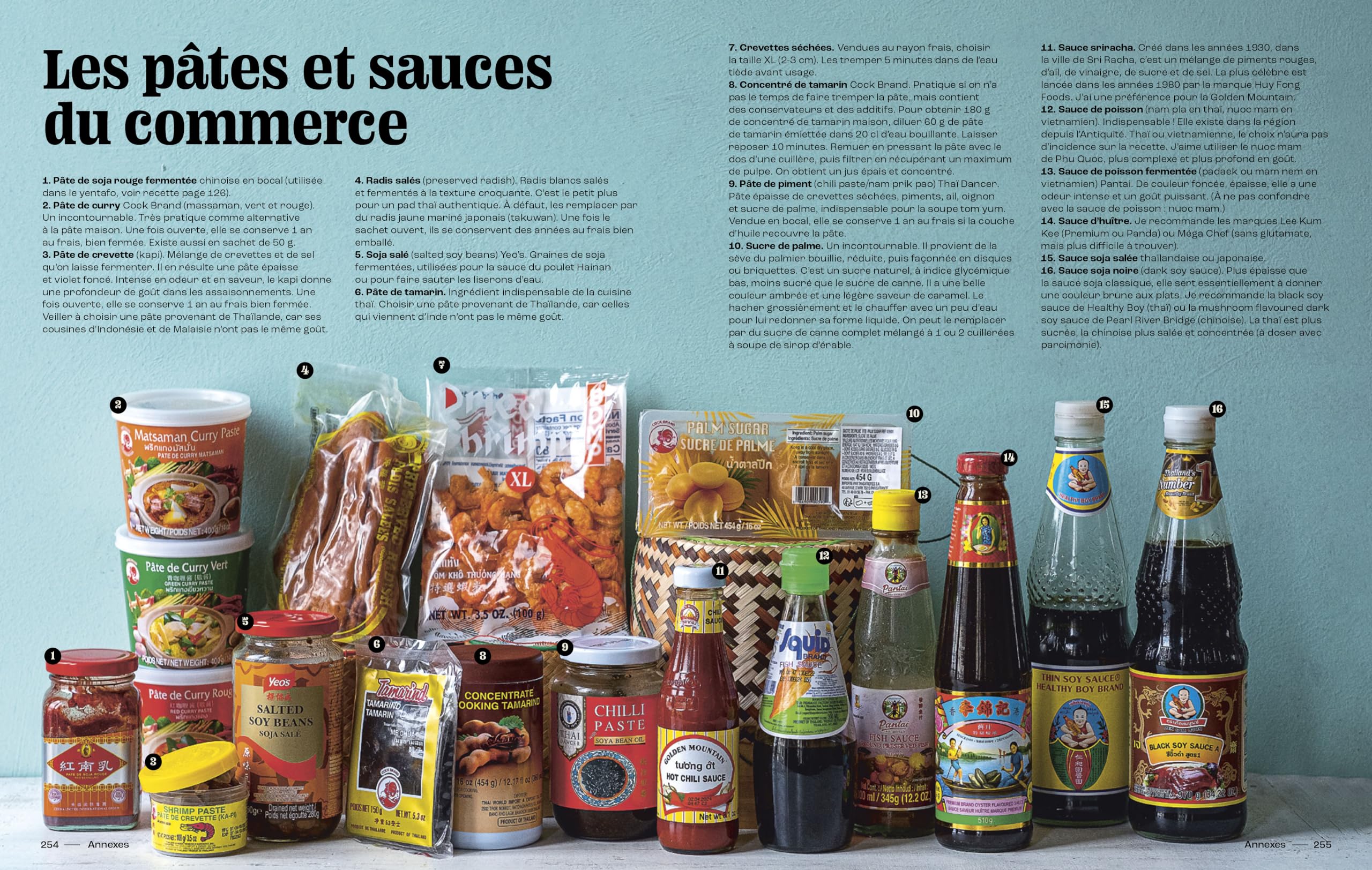 Cuisine thaïlandaise maison: 100 recettes, techniques et conseils pour cuisiner chez soi comme en Thaïlande