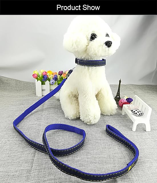 Foto 2 de 7 de Newtensina Moda Perro Collar y Correa Set Tela de Mezclilla Perrito Collar con Correa para Perro - Blue - M