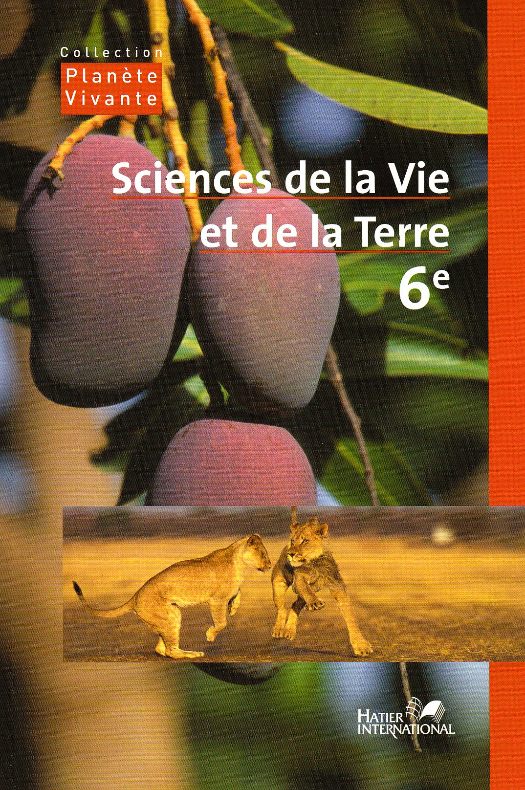 Sciences et vie de la terre 6ème : Collectif: Amazon.ca: Books