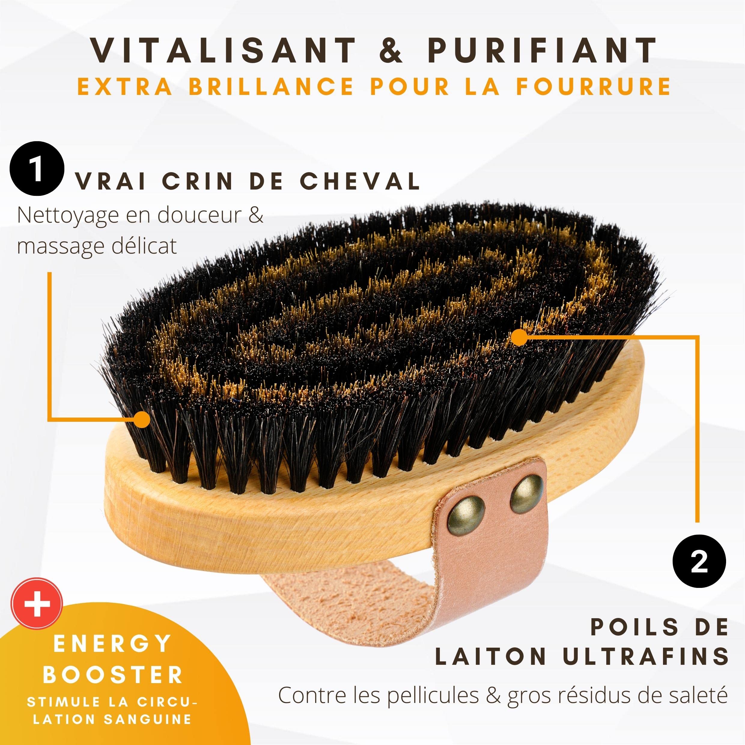 BUDDY BRUNO® brosse pour chien et chat á poil court, 100% naturel, énergétique pour le soin quotidien du pelage, brosse étrille avec boucle en cuir, fabriqué à la main en Forêt-Noire