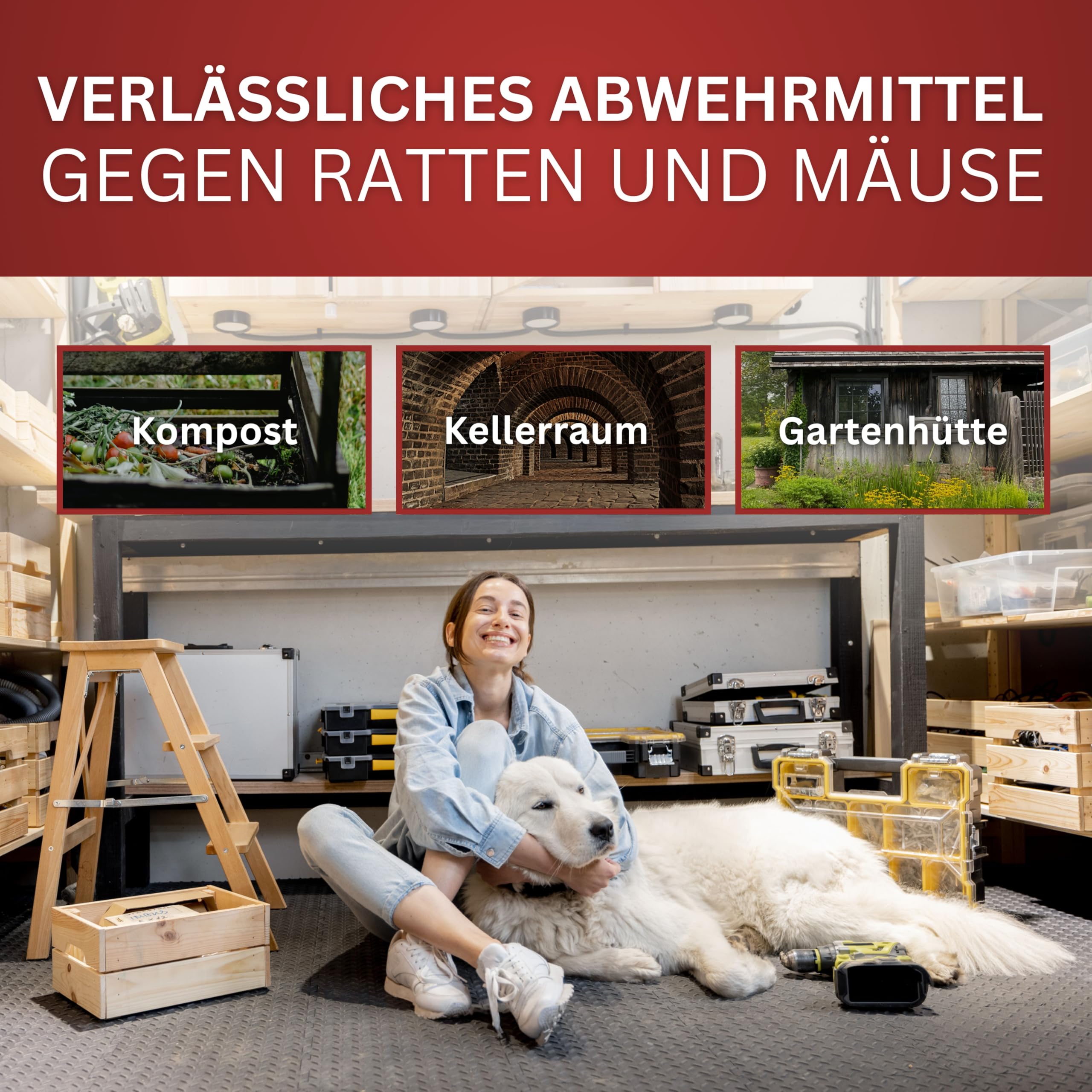BIOFORMEL Mäuse Ex Spray Plus 5L - Mäuseabwehr & Rattenabwehr - Mäuse vertreiben Abwehrmittel Ratten - Mäusebekämpfung Indoor & Outdoor - Anti Ratten - Spray Mausspray - Wirkstoff Geraniol