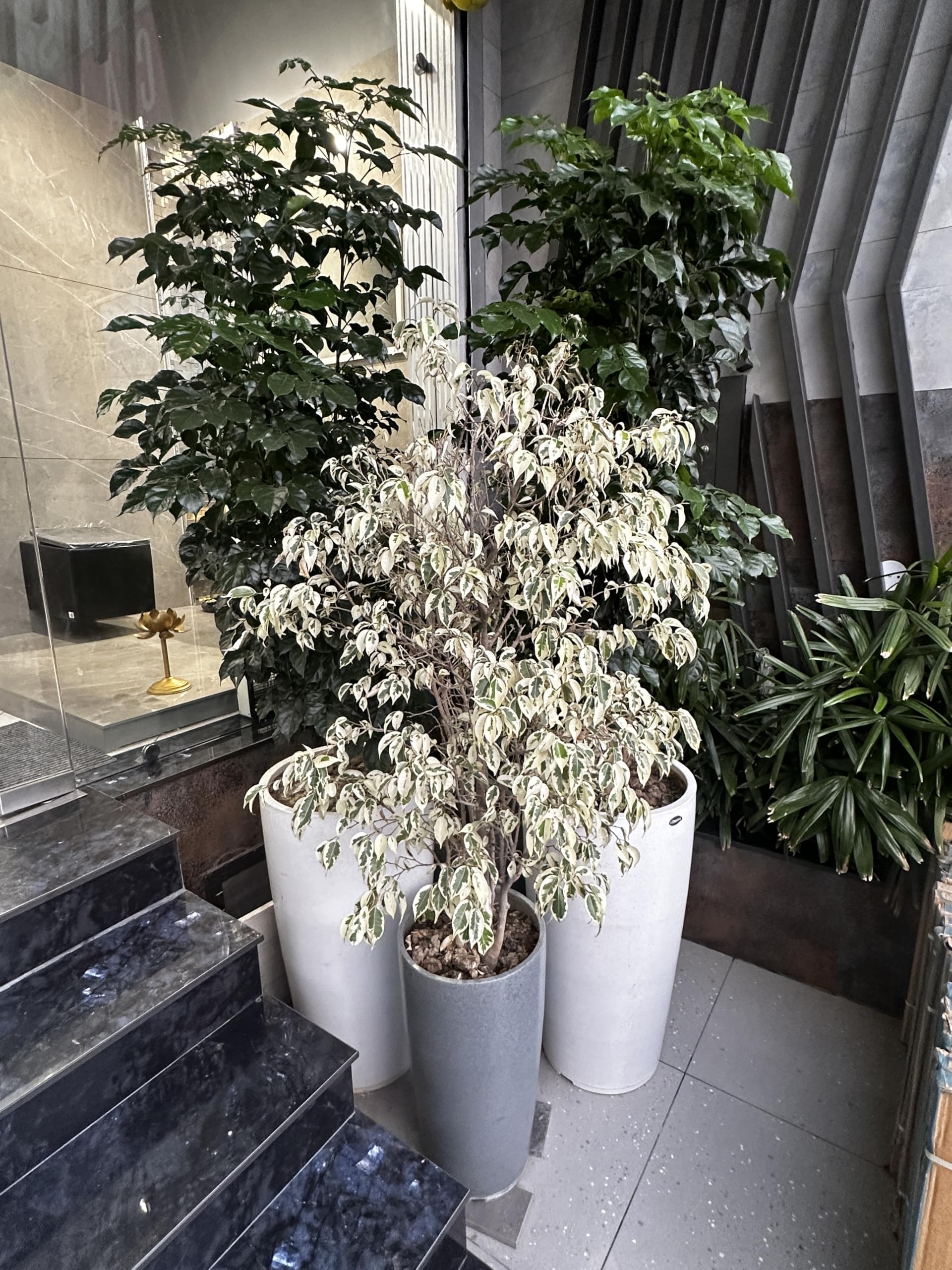 Decora Gleyz Tall Pot - Stone White (Small) -8 Decora Gleyz Tall Pot - Stone White (Small) -8