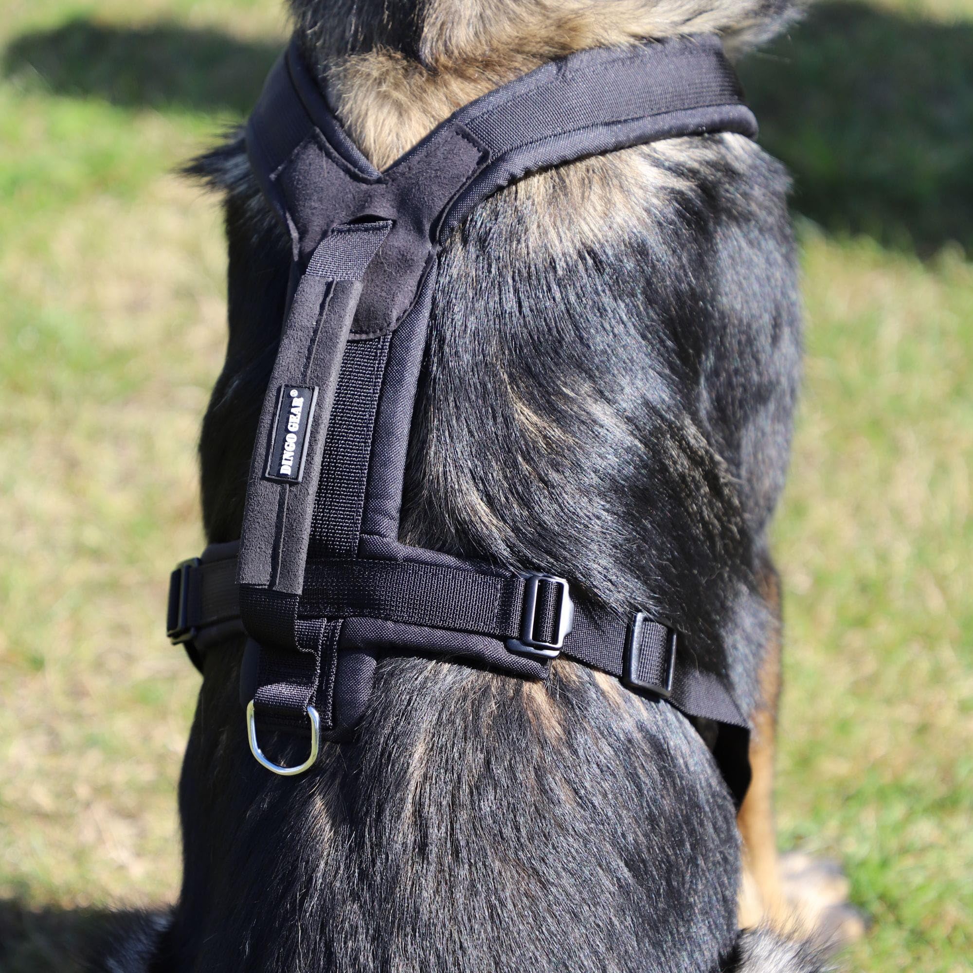 Dingo Gear S03226 - Arnés para perro ultraligero (3XL, ajustable, cómodo, fácil de poner, cuello 72 cm, pecho 50-120 cm)