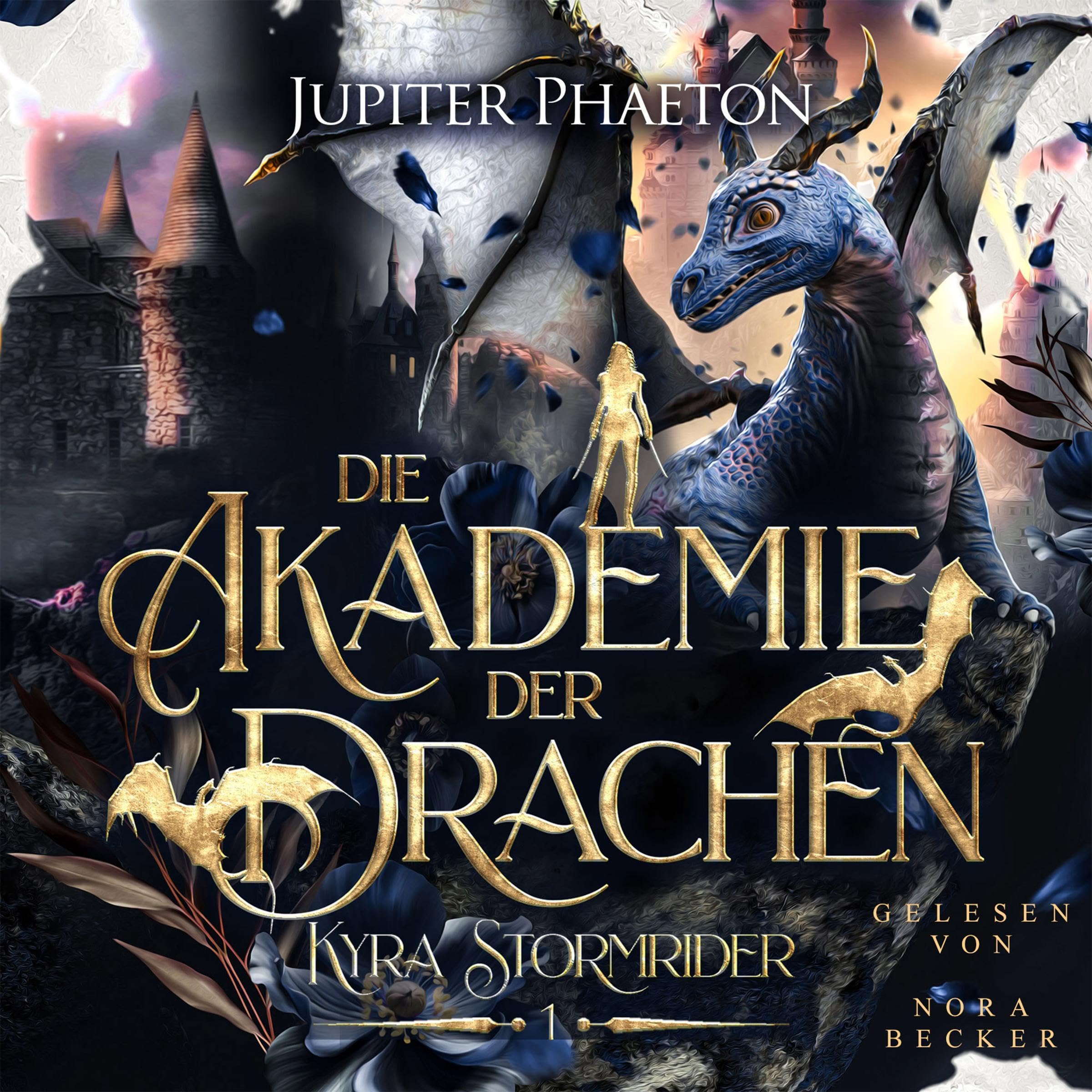 Cover art for Die Akademie der Drachen