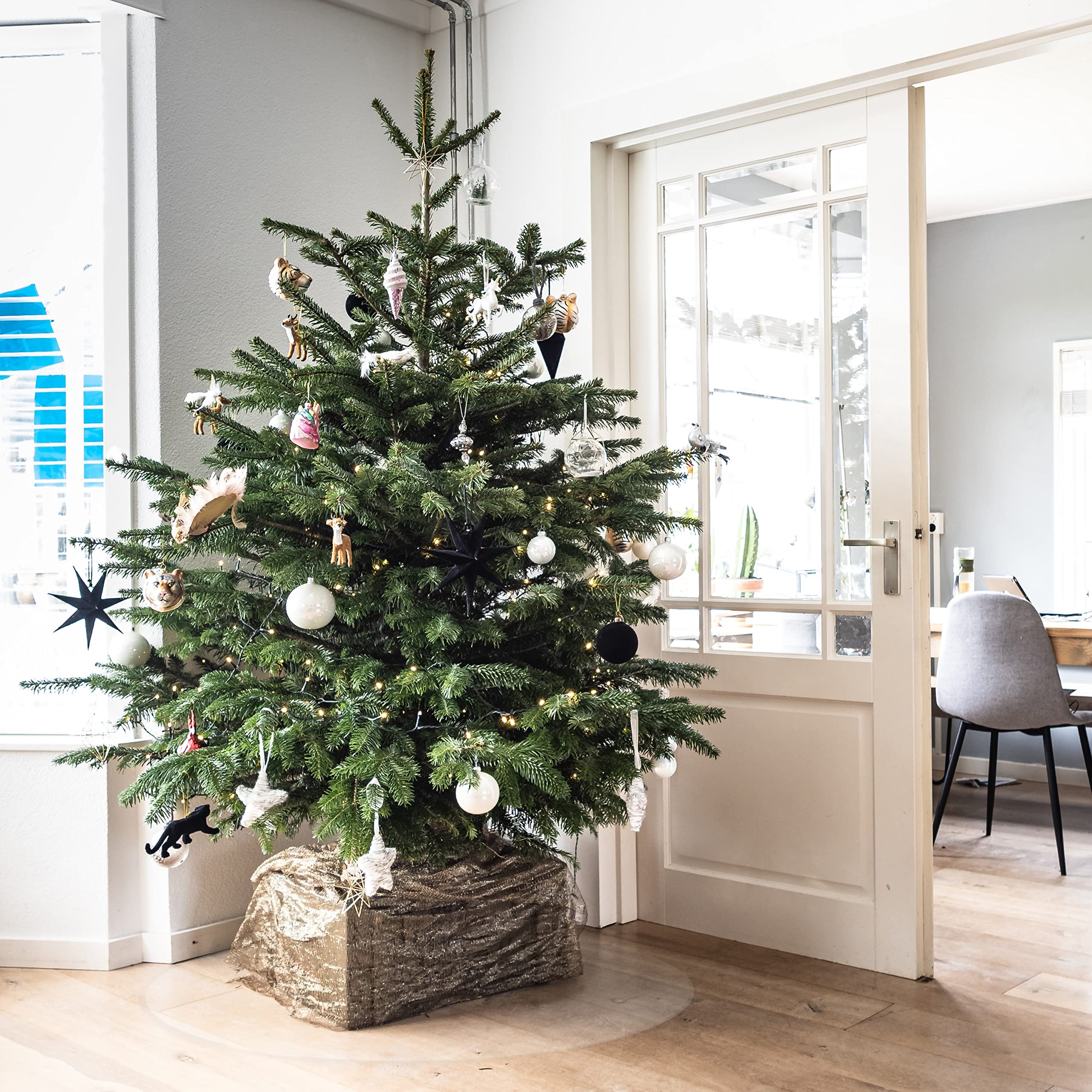 TEXMAXX® Weihnachtsbaumunterlage - Weihnachtsbaumdecke - Christbaumunterlage - Tannenbaumunterlage - PVC Folie 2 mm dick mit abgeschrägter Kante - transparente Unterlage - (120 cm Rund)