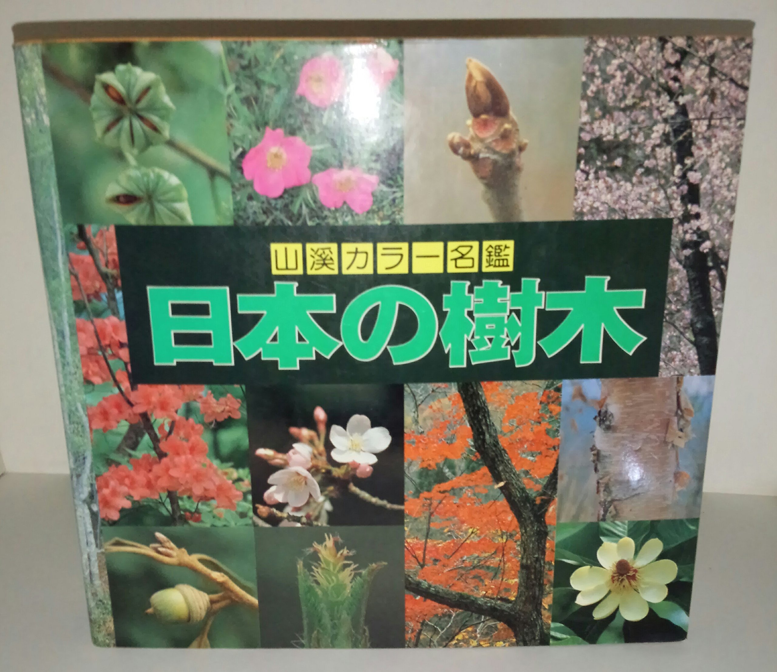増補改訂新版　日本の樹木 増補改訂新版 日本の樹木 増補改訂新版 日本の樹木 Amazon.co.jp