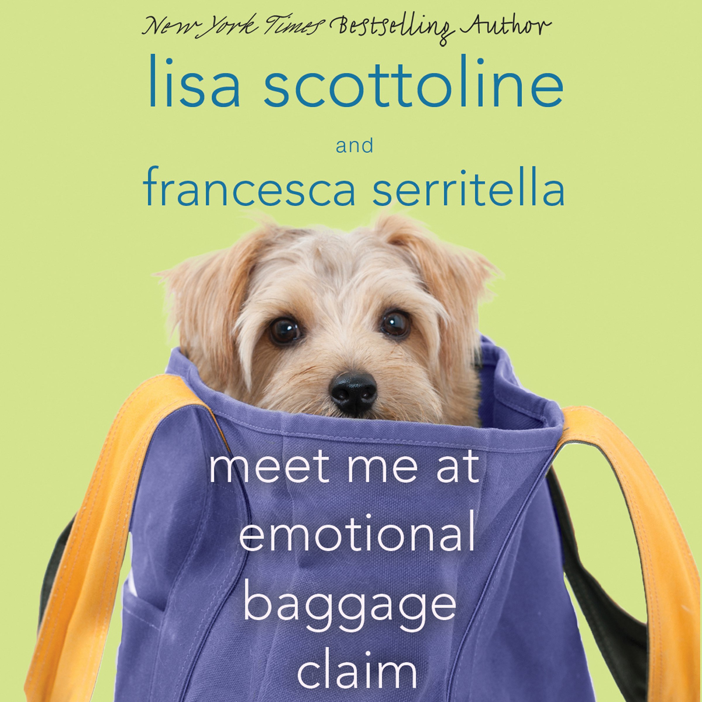 Cover art for Meet Me at Emotional Baggage Claim