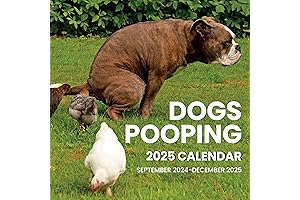SUNEE 2024-2025 Wall Calendar Funny Gag Gifts