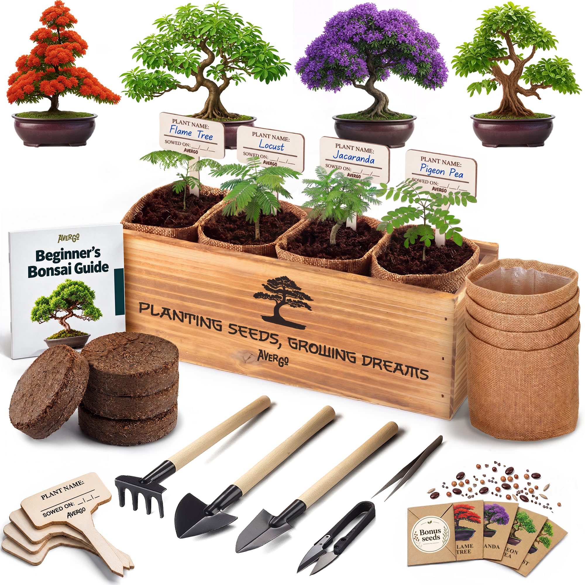 波花 BANZAI ストロング 3本・EXTRA 1本 合計4本セット Amazon.com : Bonsai Tree Kit Classic - Growing 4 Unique Japanese
