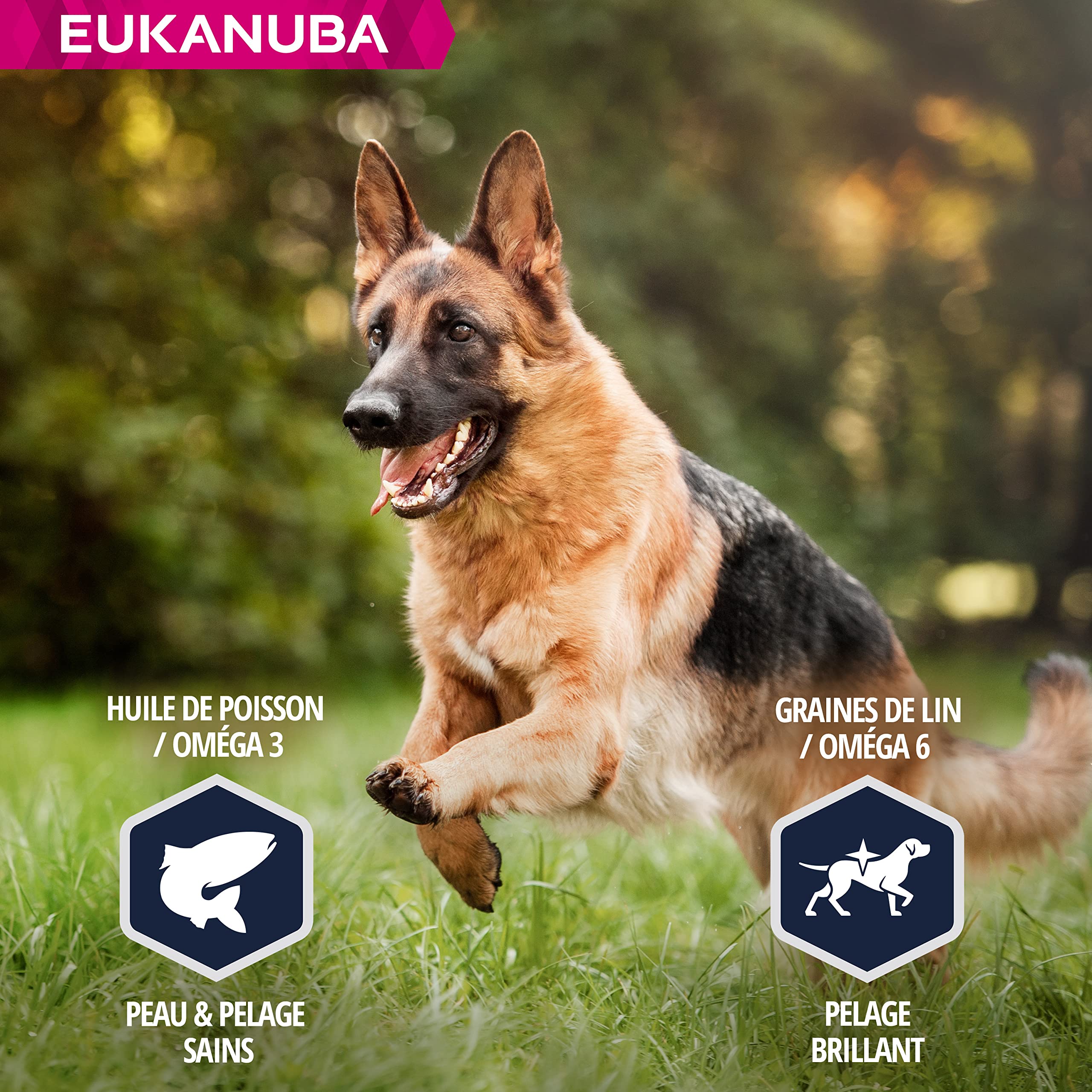 Eukanuba Chien Nourriture sèche Berger Allemand Poulet 12kg