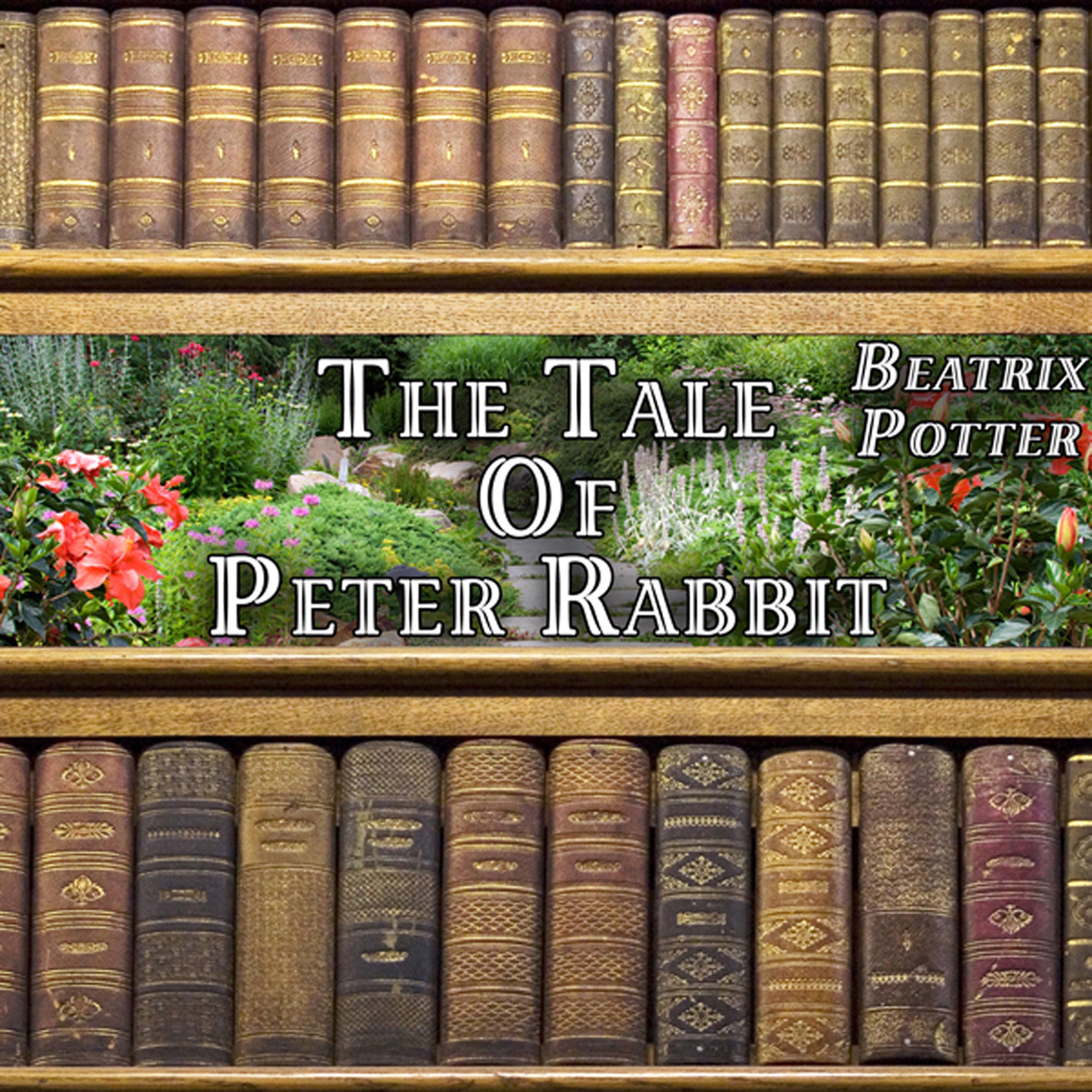 Cover art for The Tale of Peter Rabbit