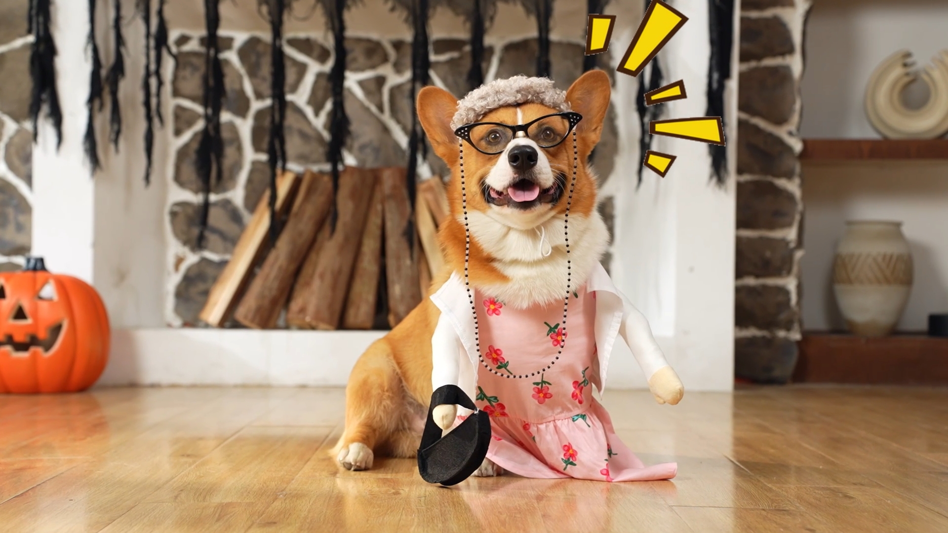 dog dressed as old lady Talltalk 4 Pcs Dogs Costume, Halloween Grandma Dogs Costume, S occasion-Day Event occasion-Holiday