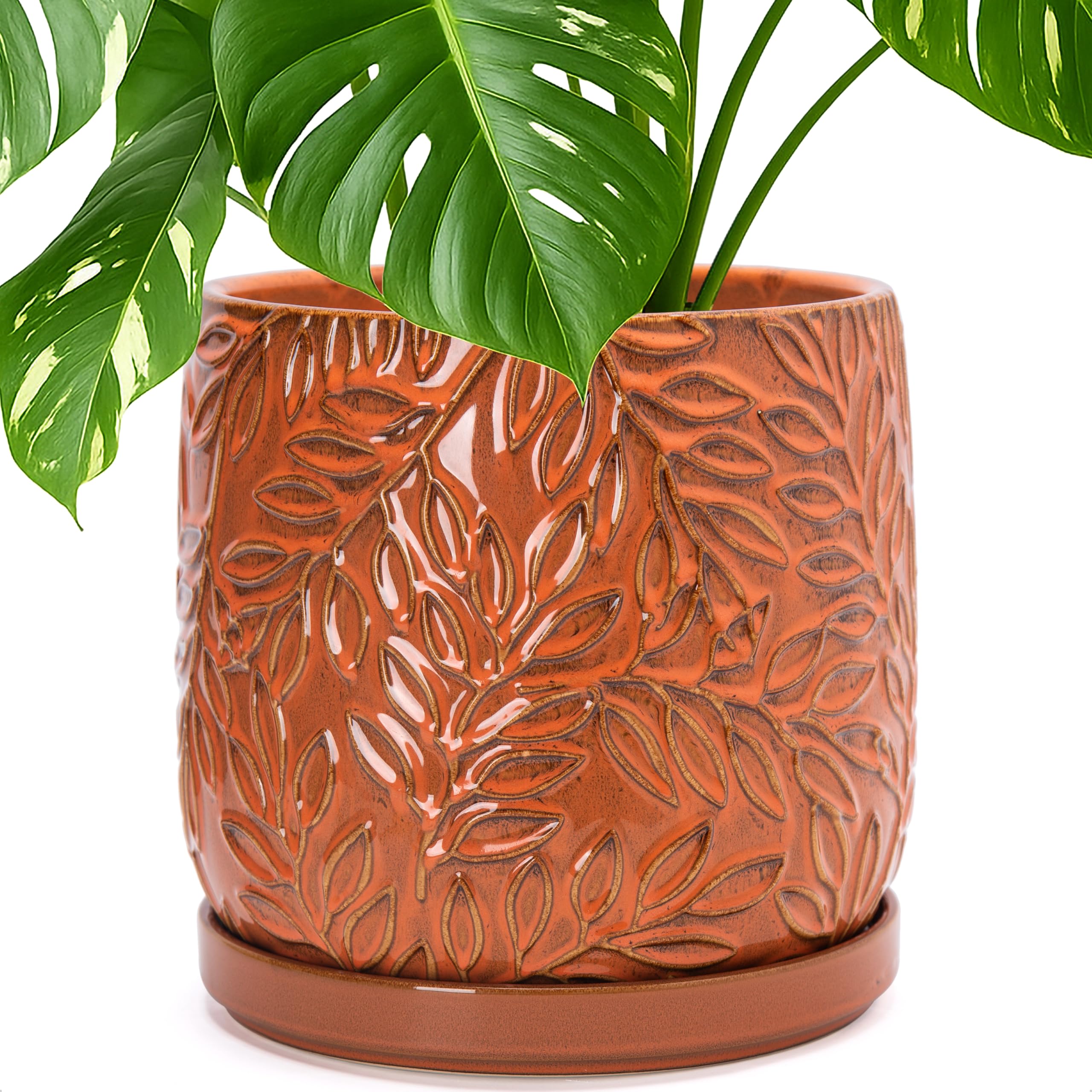 D'vine Dev 10 Inch Embossed Stoneware Planter