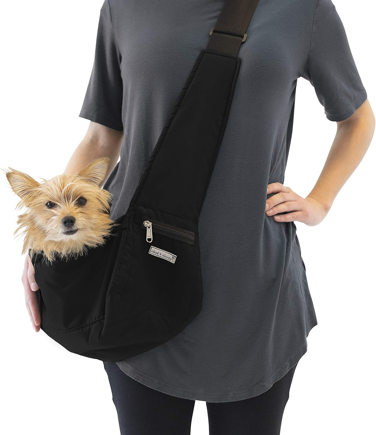 mini dachshund carrier