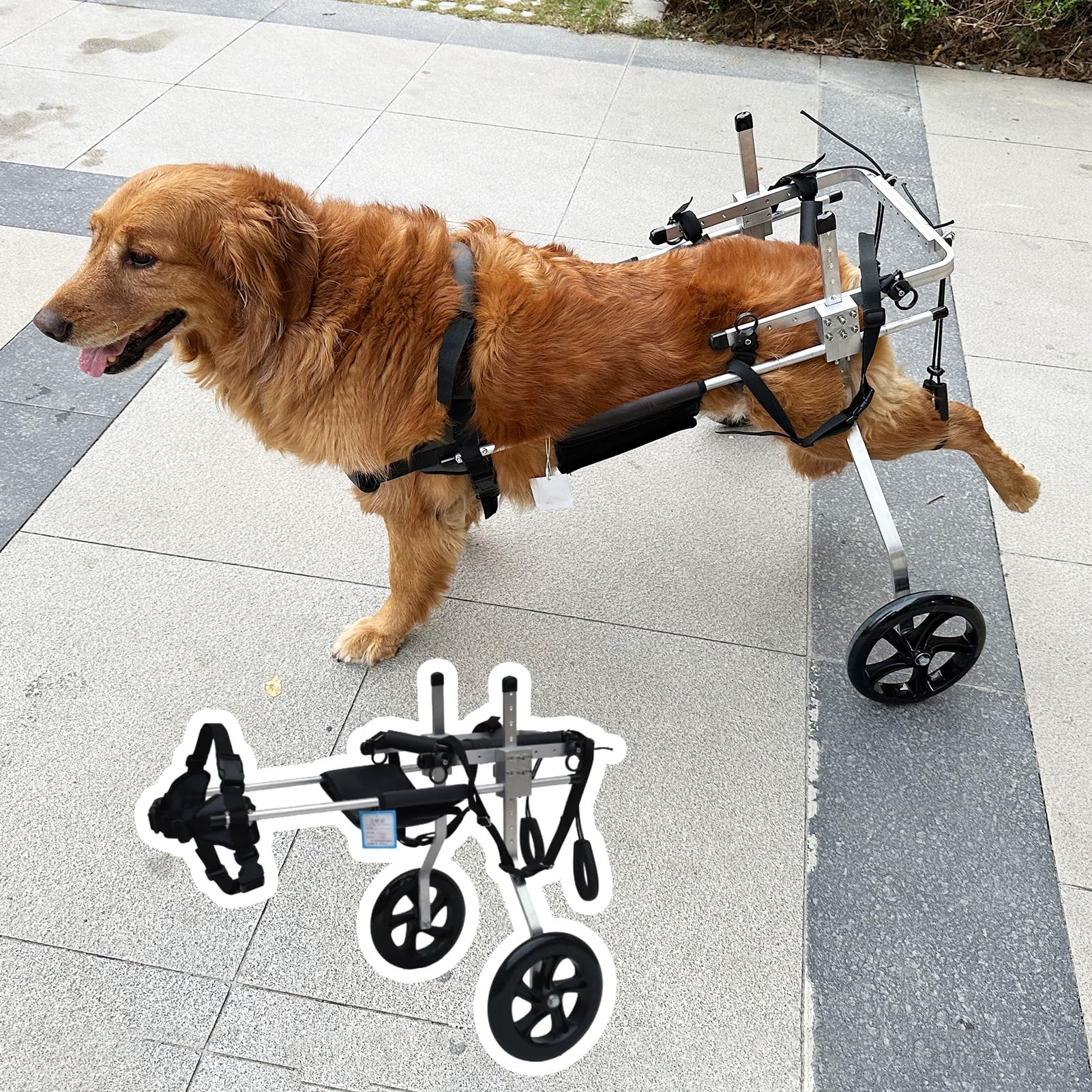 Fauteuil roulant pour chien pattes arrières amovible tailles XXL