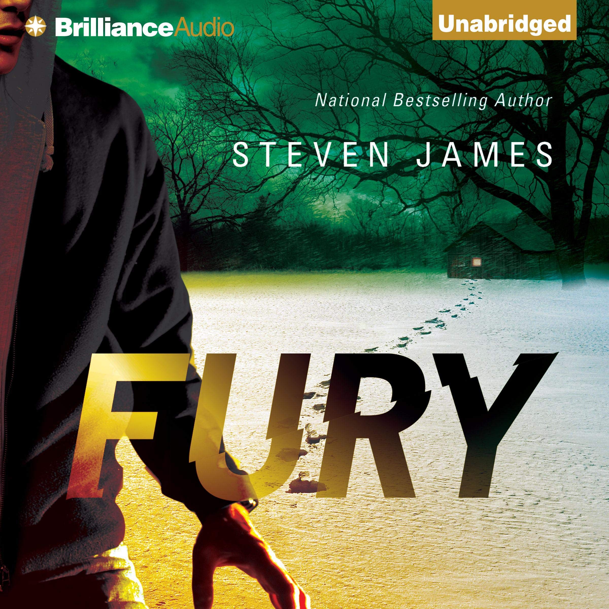 Cover art for Fury: Blur Trilogy, Book 2
