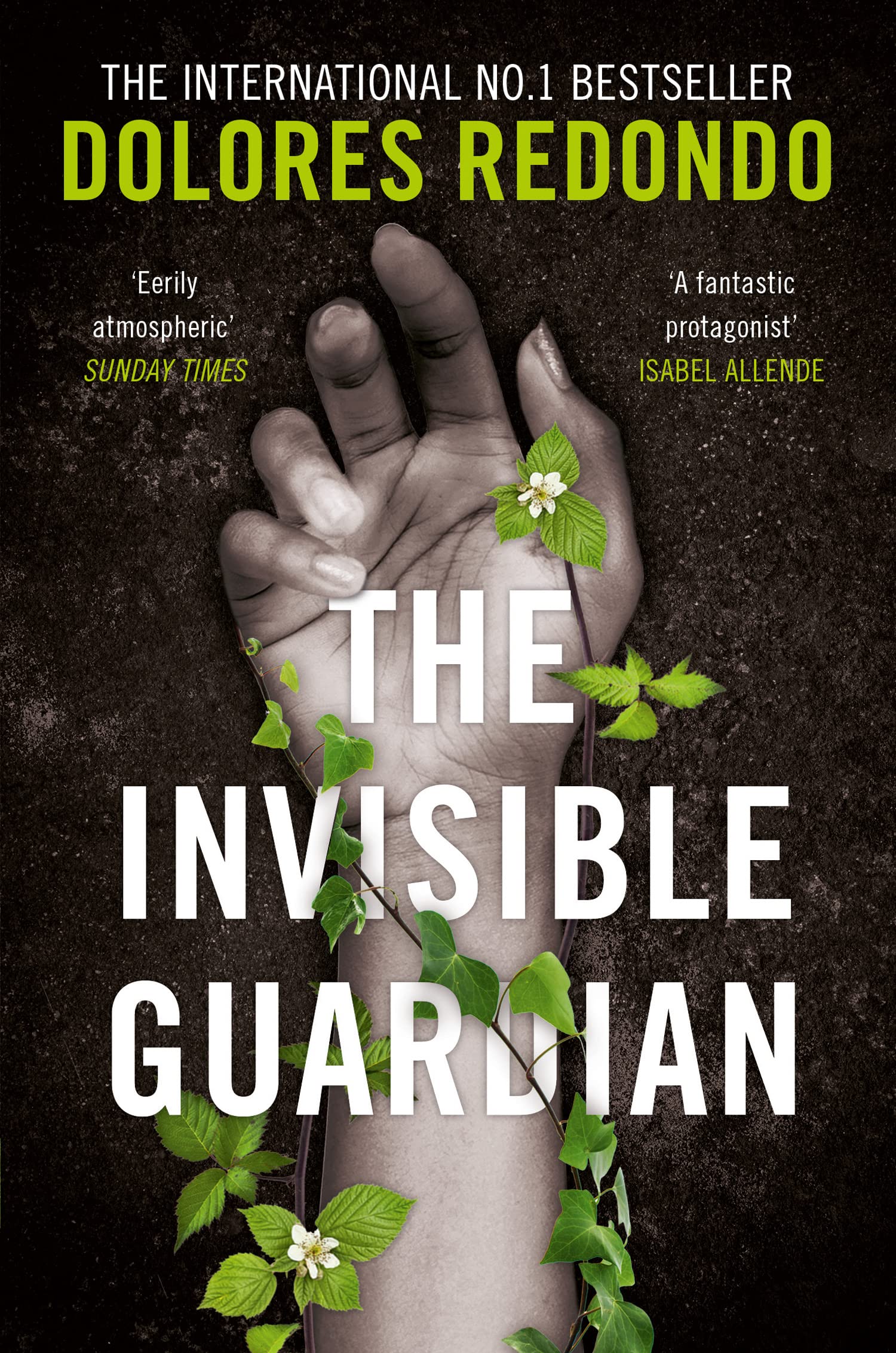 The Invisible Guardian (The Baztan Trilogy, Book 1): A CWA International Dagger Shortlisted Spanish Crime Thriller
