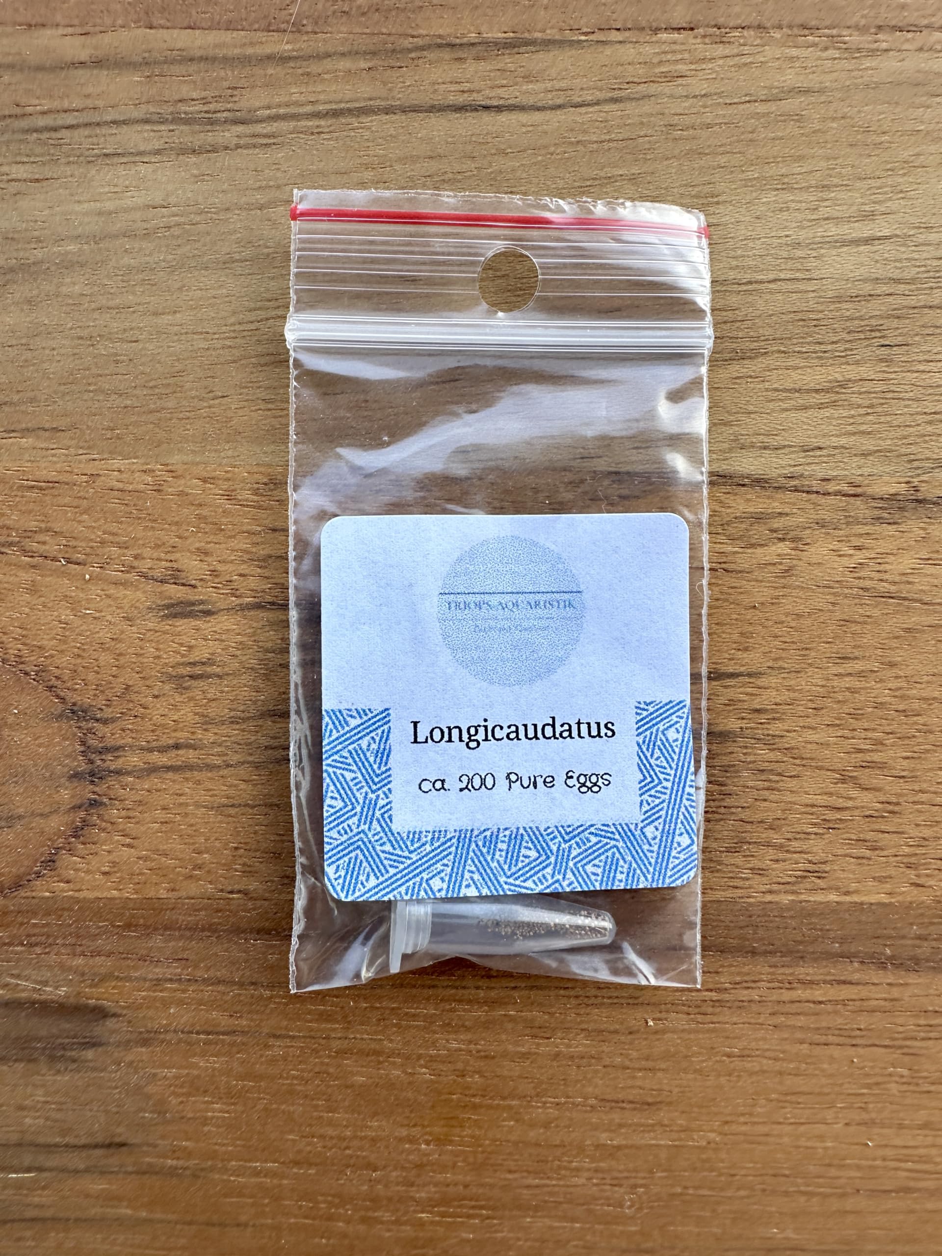 Kopia Triops Longicaudatus ok. 200 Pure Eggs (1 kapsułka)